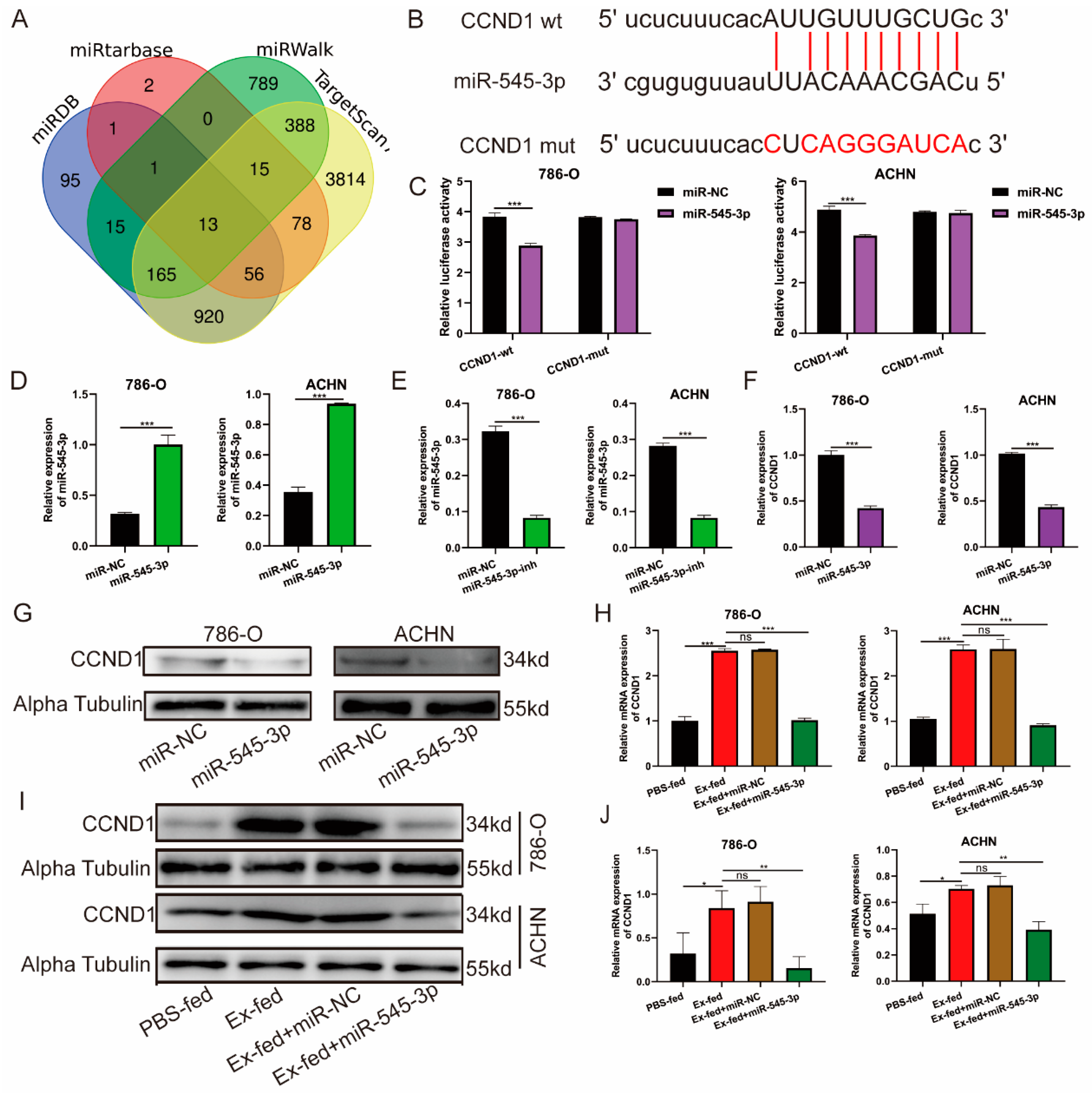 Cancers 15 00123 g006