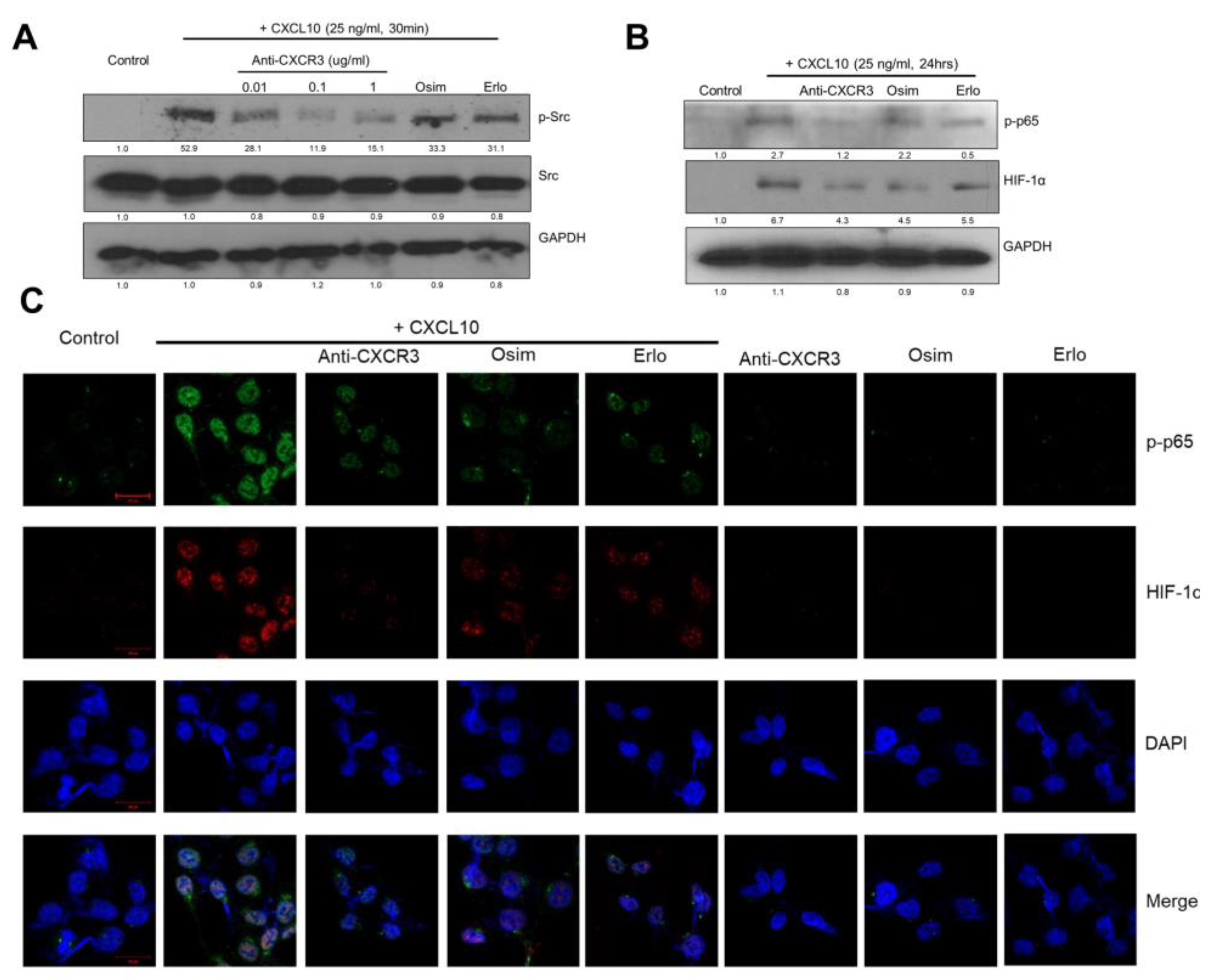 Cancers 15 00124 g003