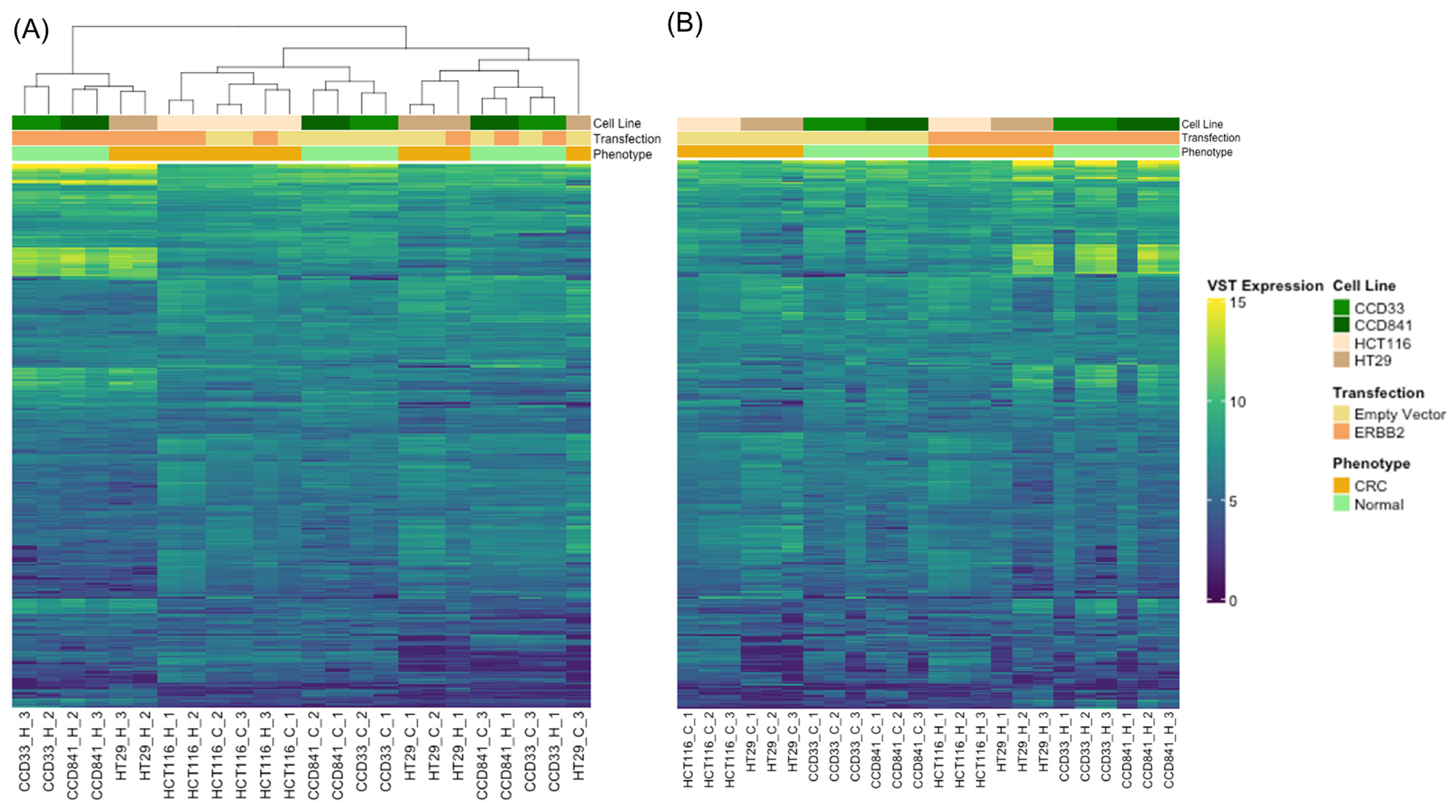 Cancers 15 00130 g002 Cancers 15 00130 g002