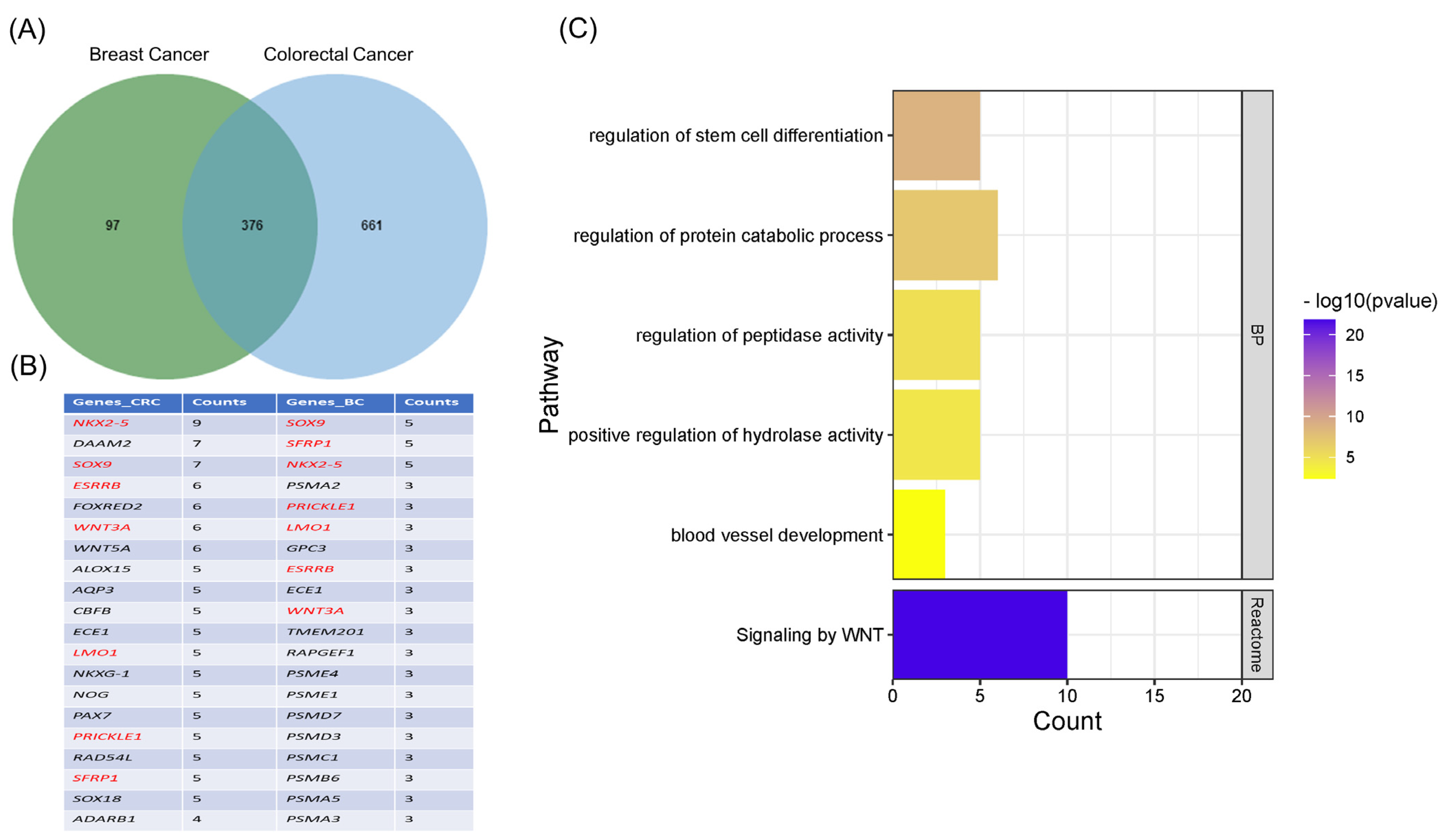 Cancers 15 00130 g007 Cancers 15 00130 g007