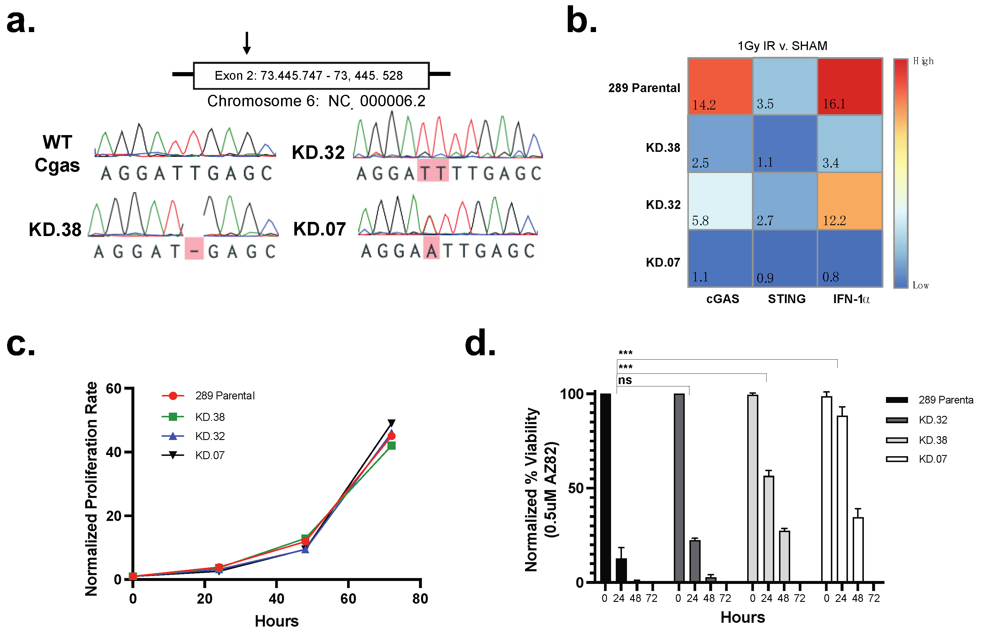Cancers 15 00154 g007 Cancers 15 00154 g007