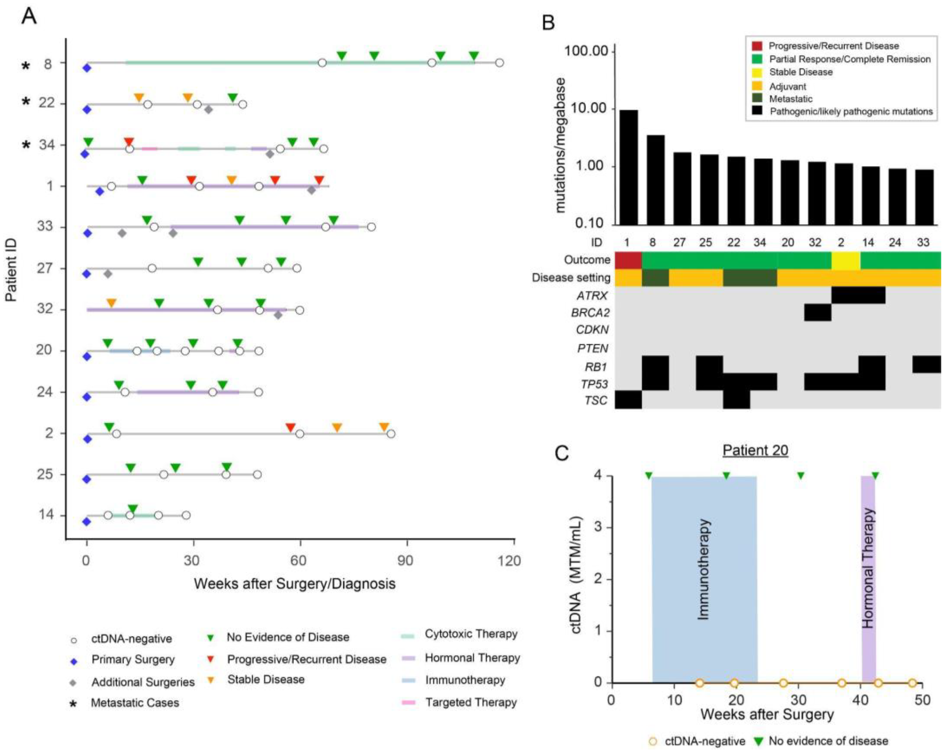 Cancers 15 00157 g001