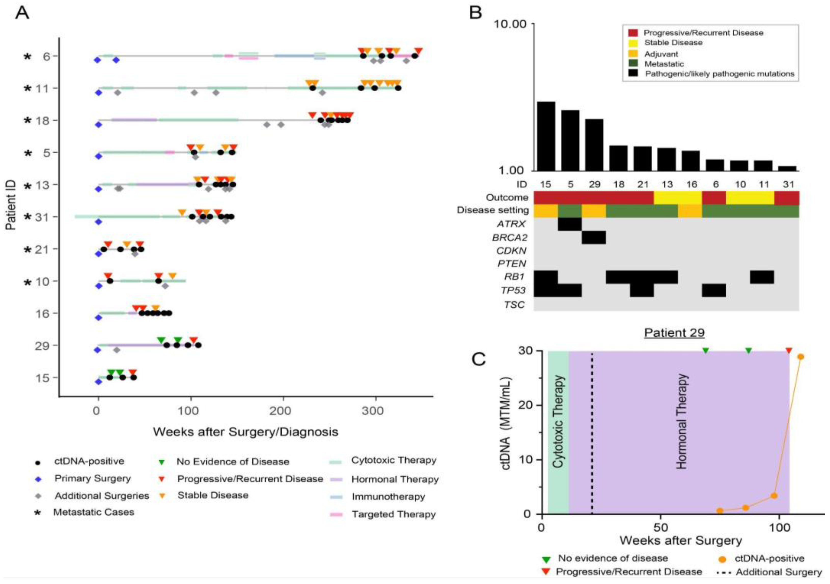 Cancers 15 00157 g003