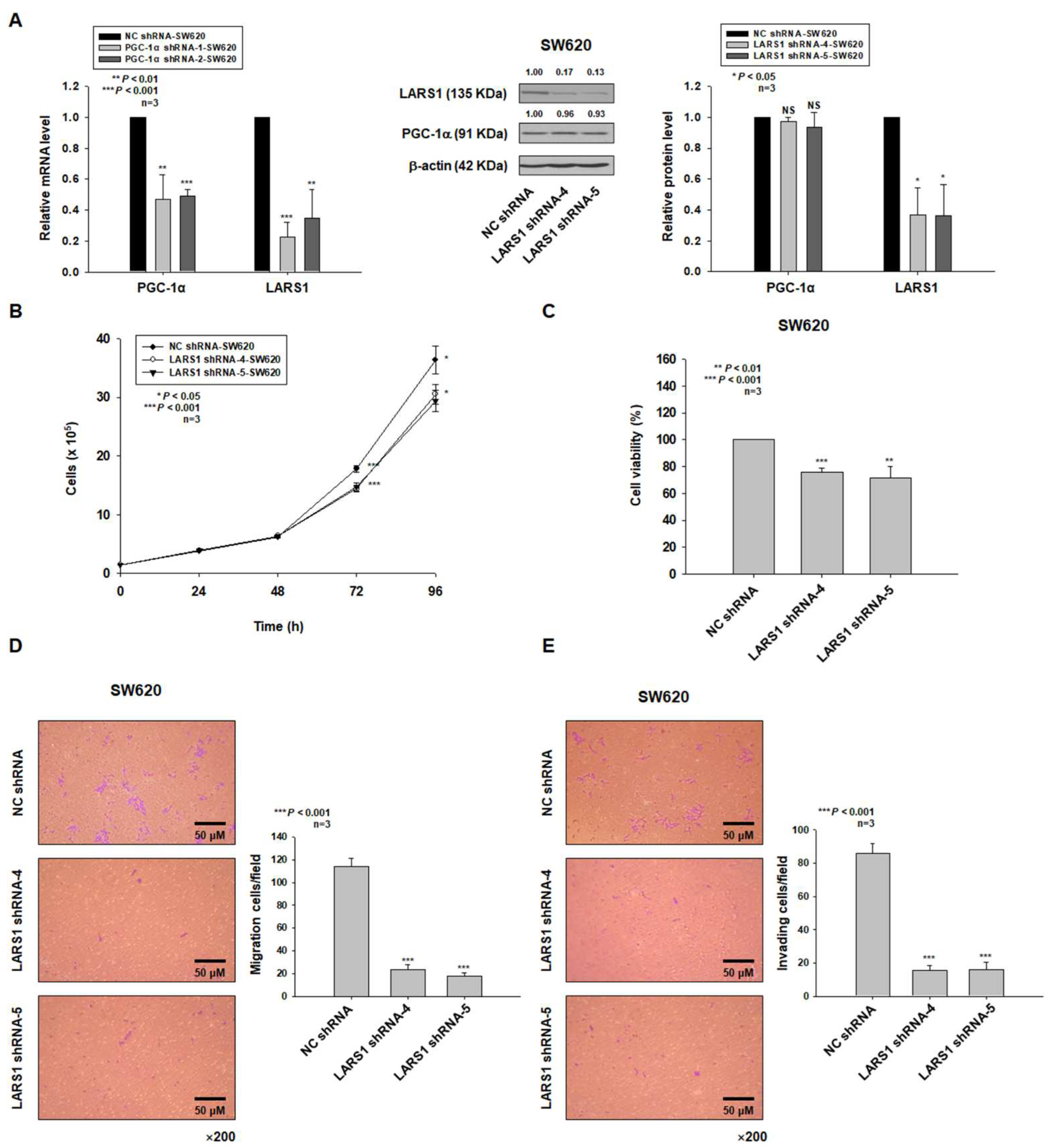 Cancers 15 00159 g003 Cancers 15 00159 g003