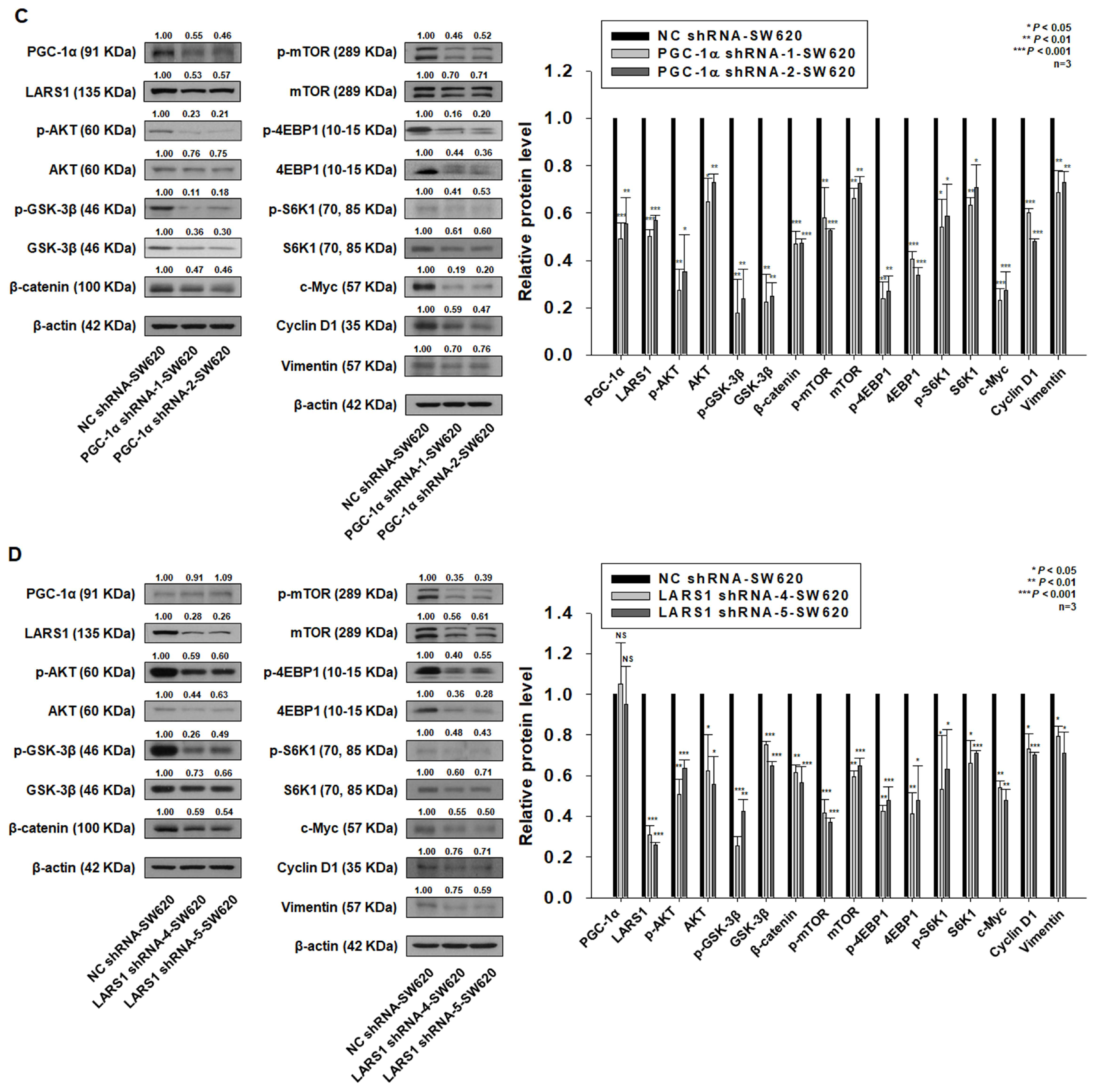 Cancers 15 00159 g005b Cancers 15 00159 g005b