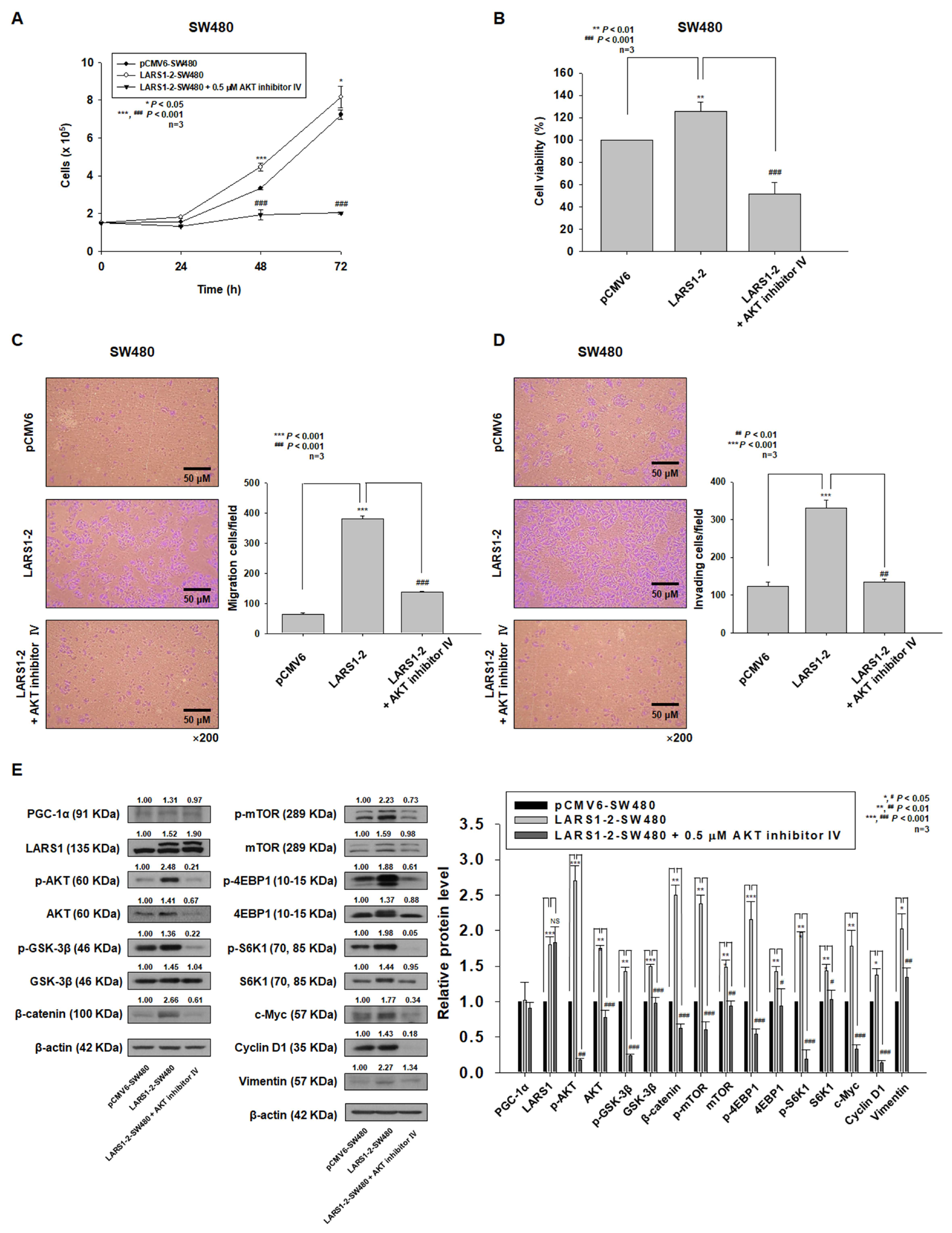 Cancers 15 00159 g006 Cancers 15 00159 g006