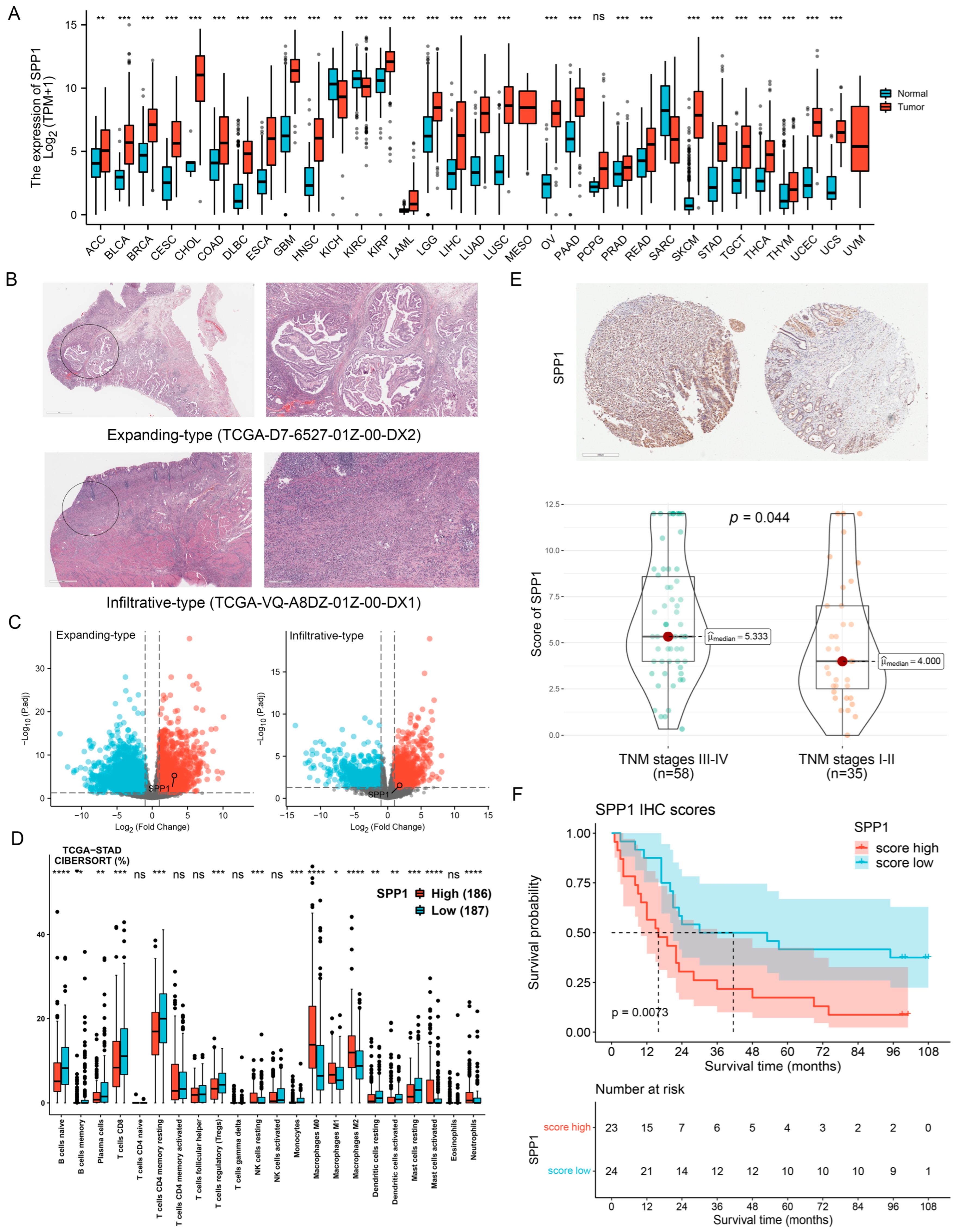 Cancers 15 00164 g001