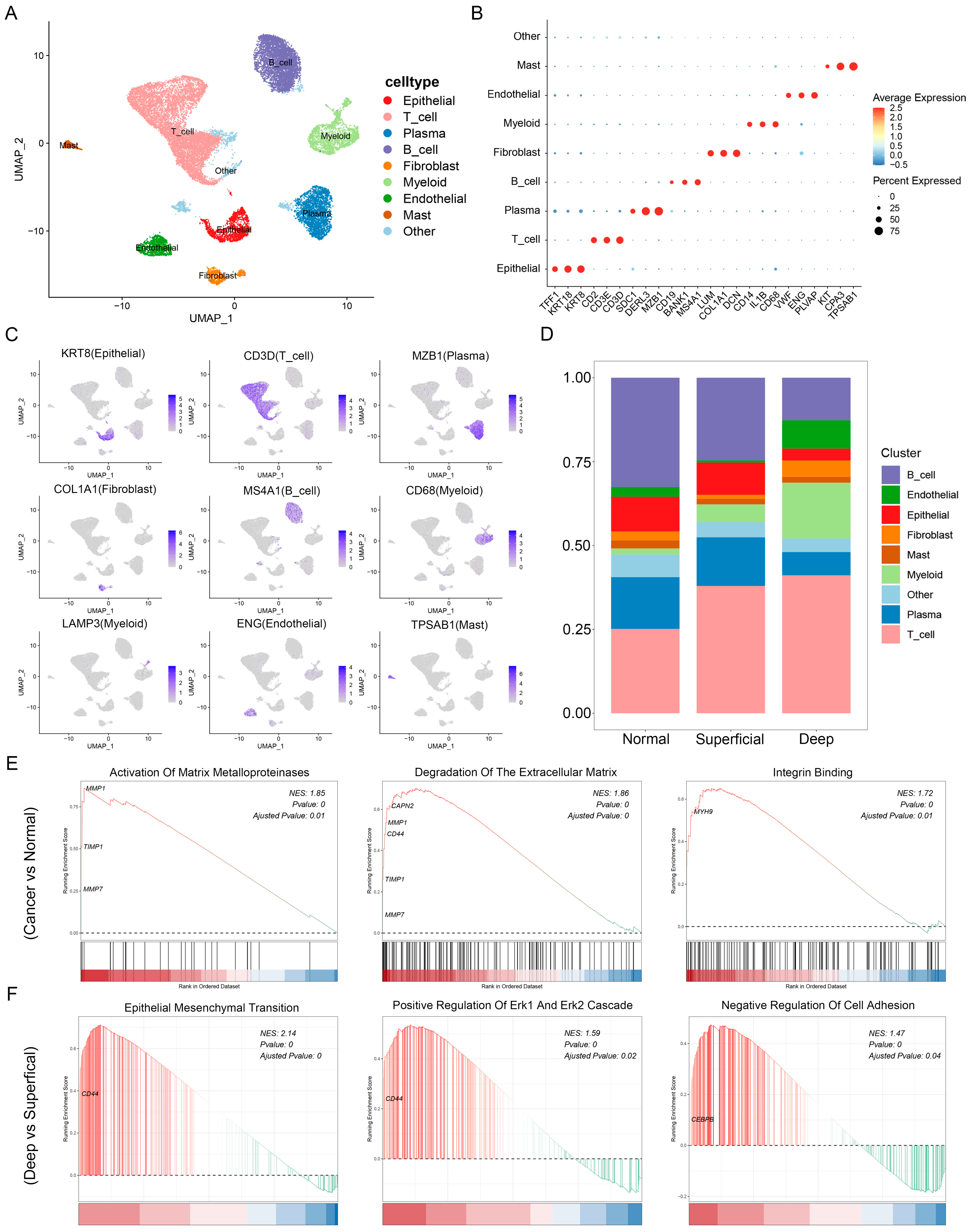 Cancers 15 00164 g002