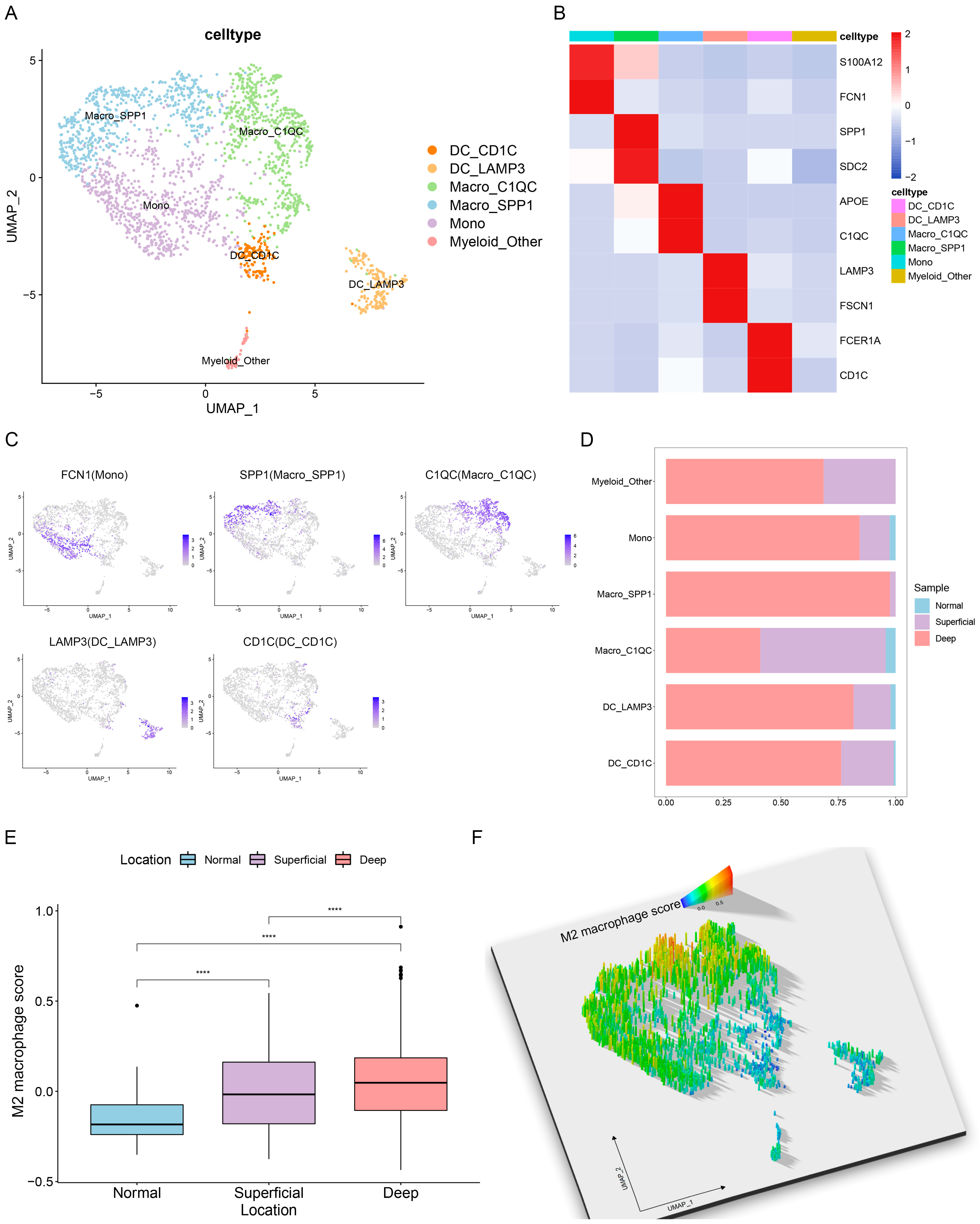 Cancers 15 00164 g003
