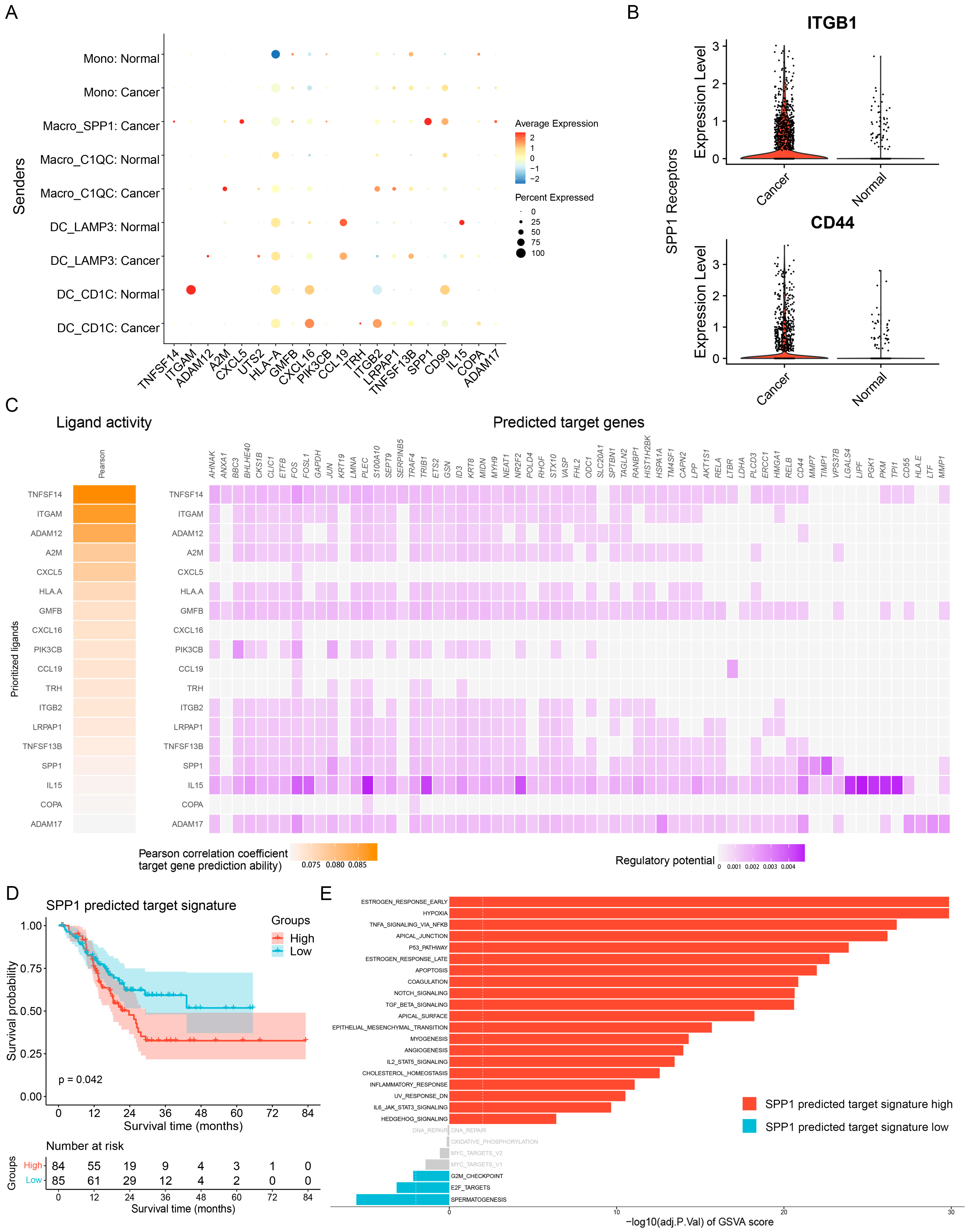 Cancers 15 00164 g004