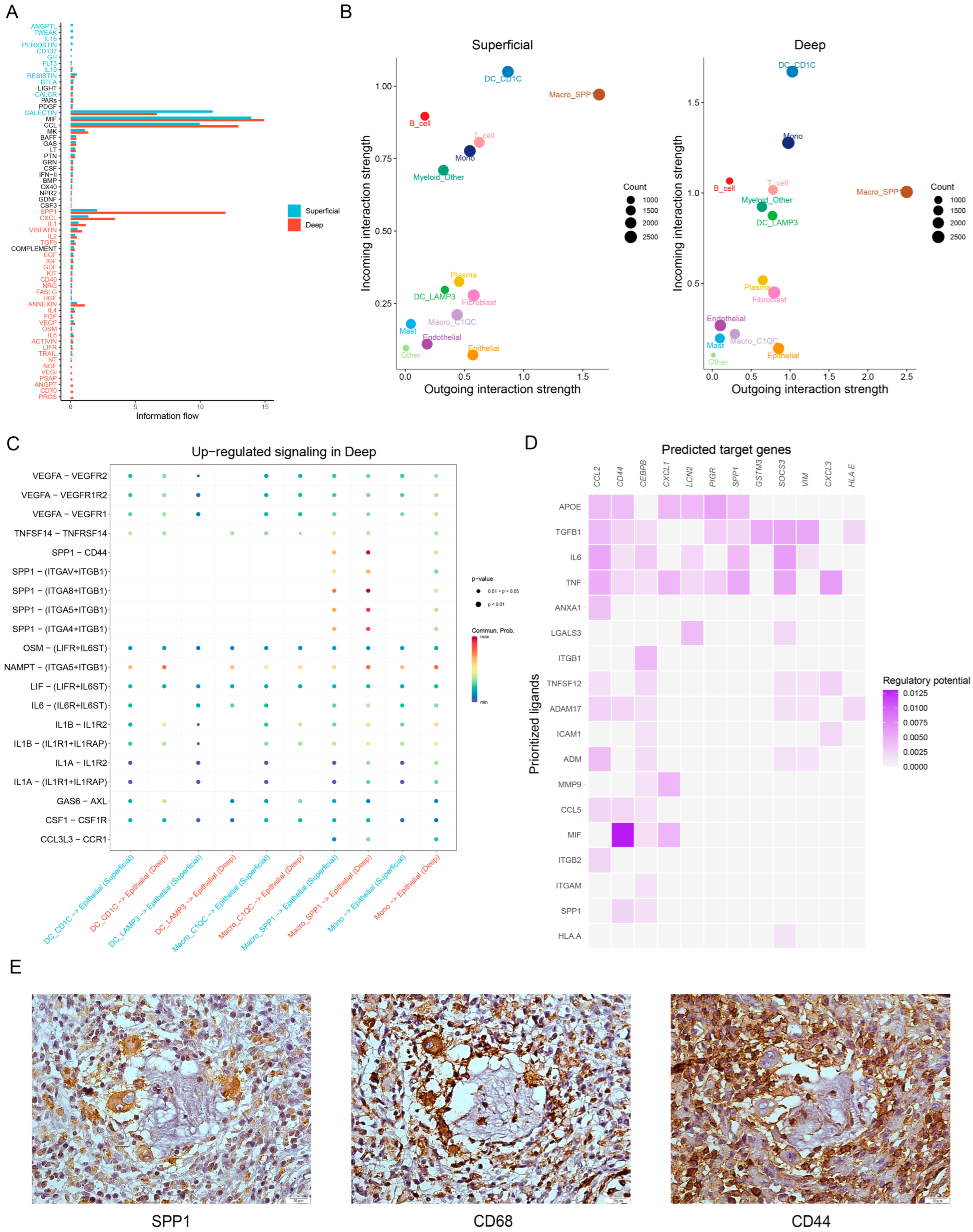 Cancers 15 00164 g005