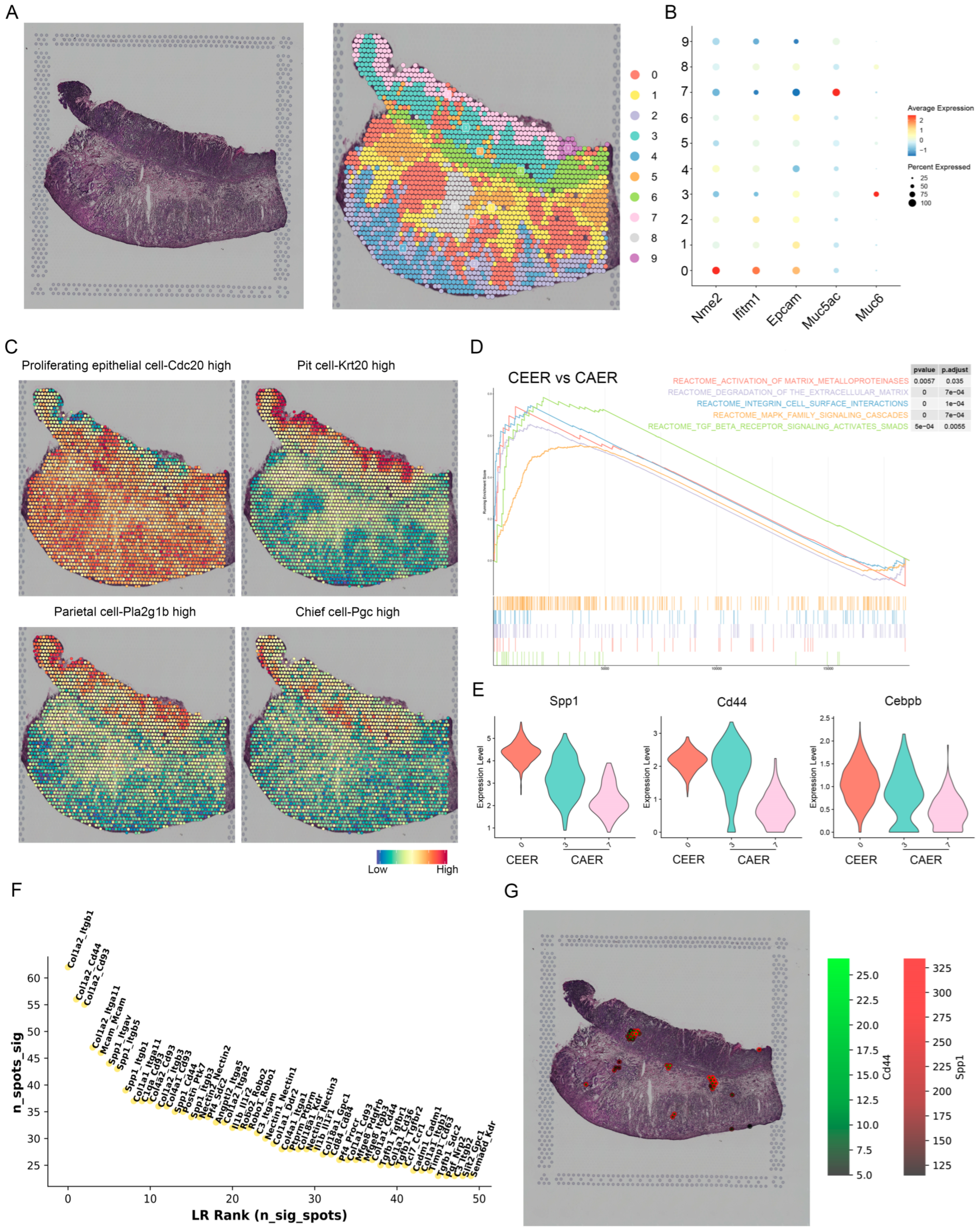 Cancers 15 00164 g006