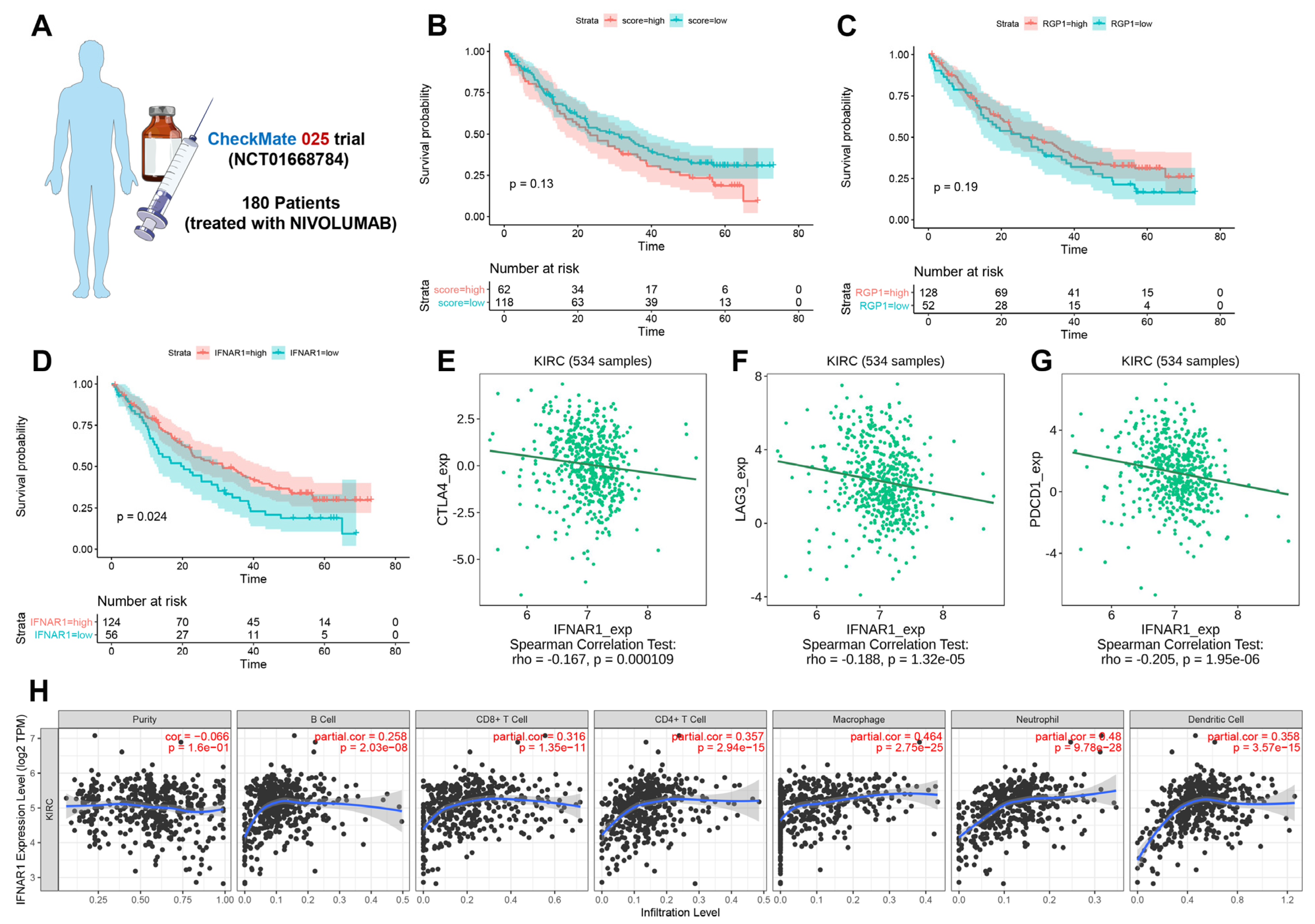 Cancers 15 00169 g006 Cancers 15 00169 g006