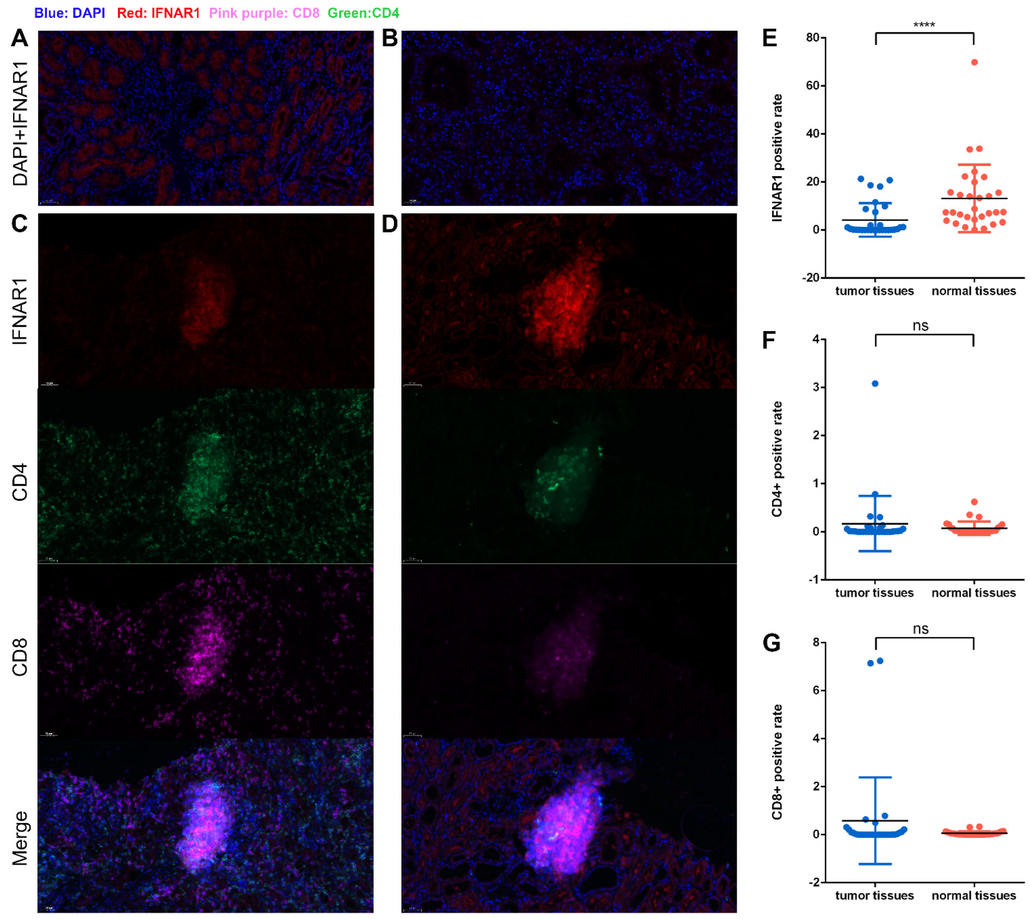 Cancers 15 00169 g007 Cancers 15 00169 g007