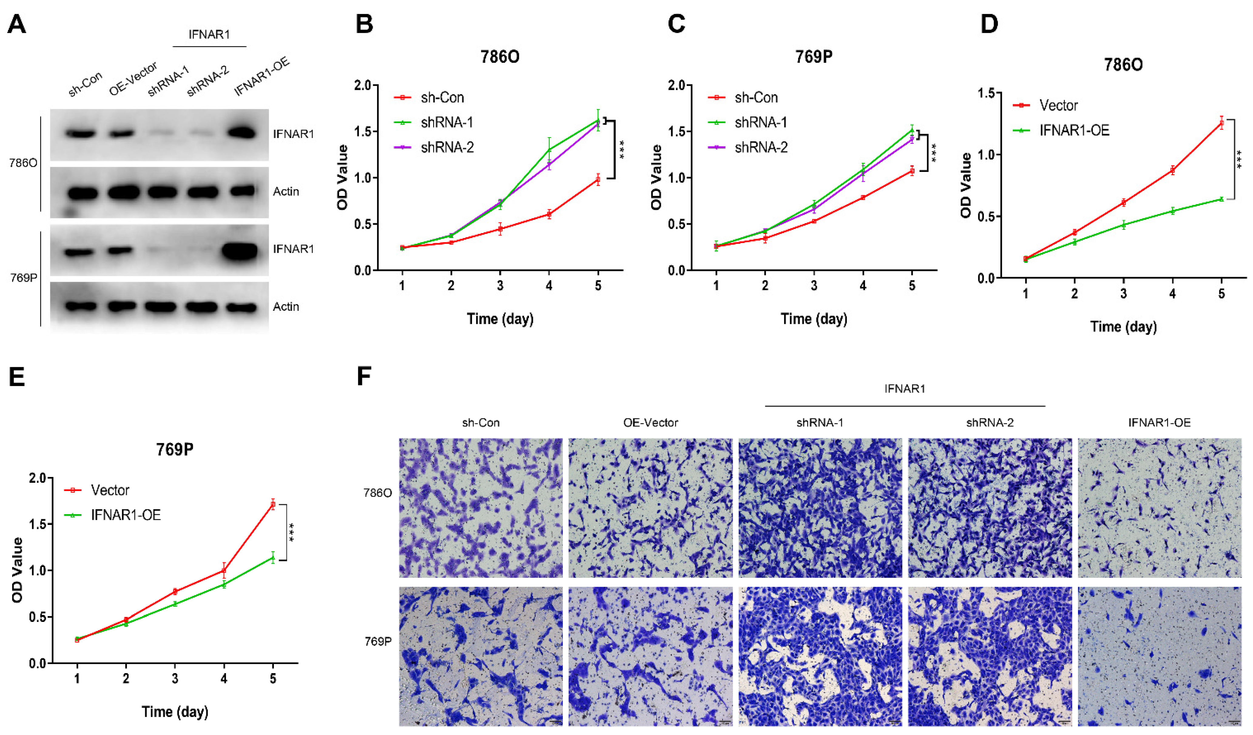 Cancers 15 00169 g008 Cancers 15 00169 g008