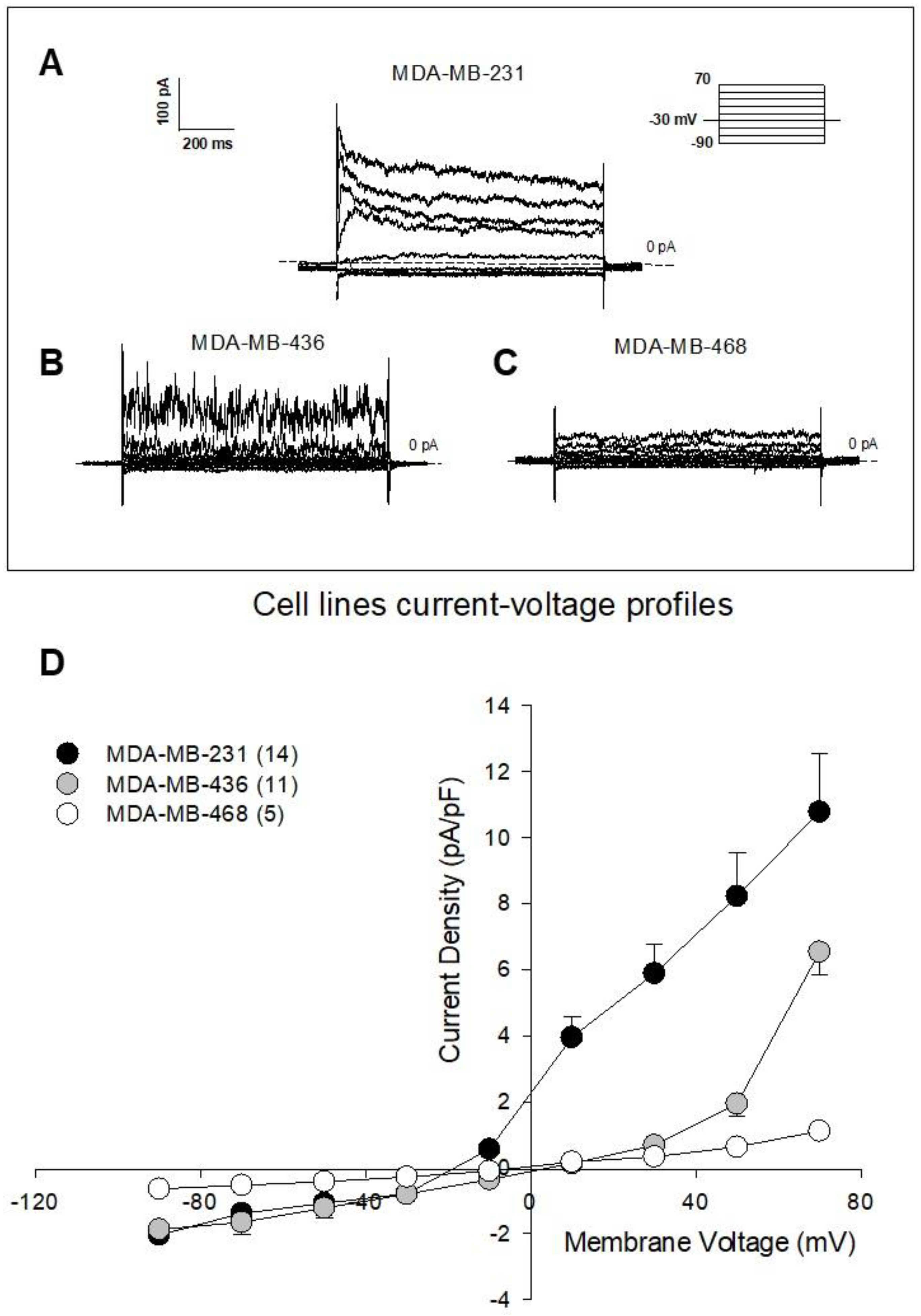 Cancers 15 00178 g002 Cancers 15 00178 g002