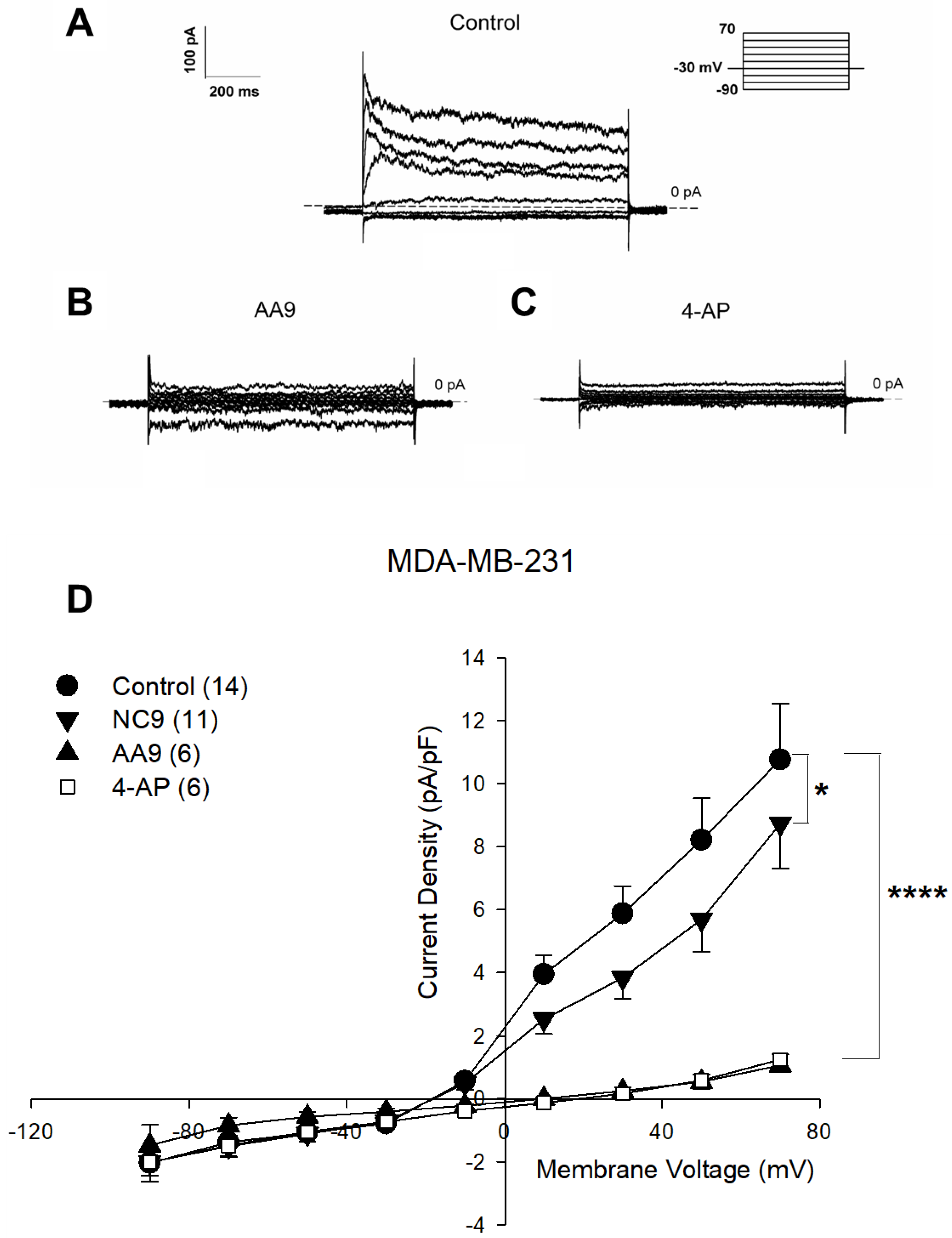 Cancers 15 00178 g003 Cancers 15 00178 g003