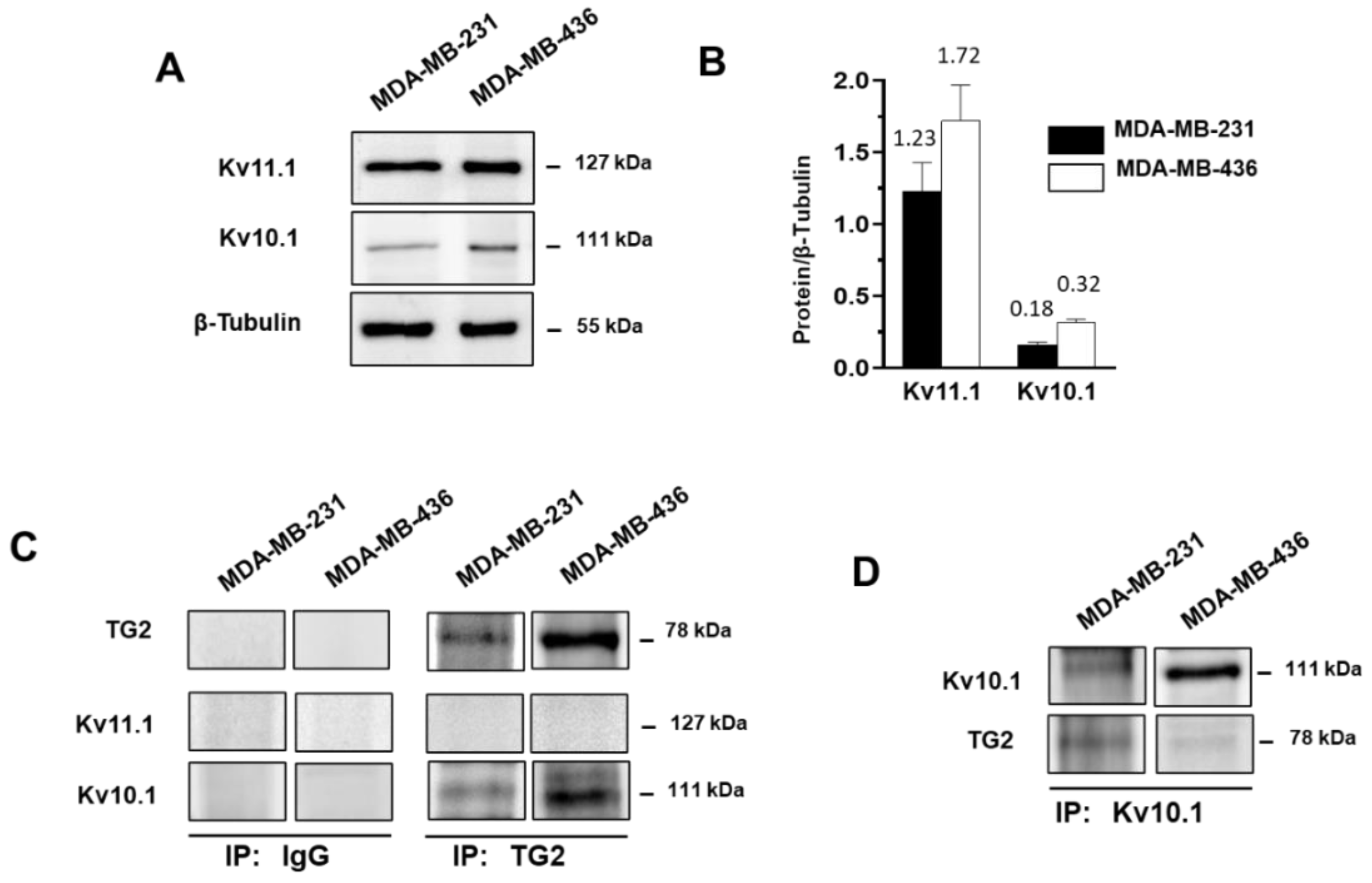 Cancers 15 00178 g006 Cancers 15 00178 g006