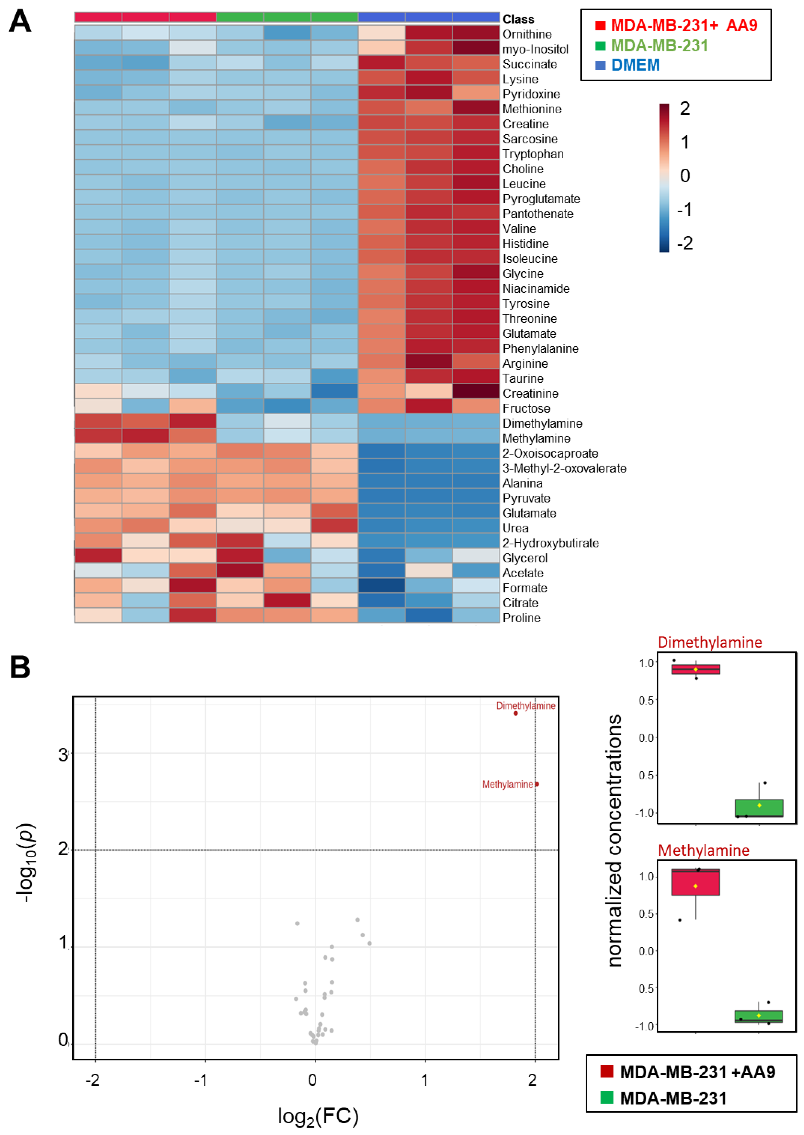 Cancers 15 00178 g007 Cancers 15 00178 g007