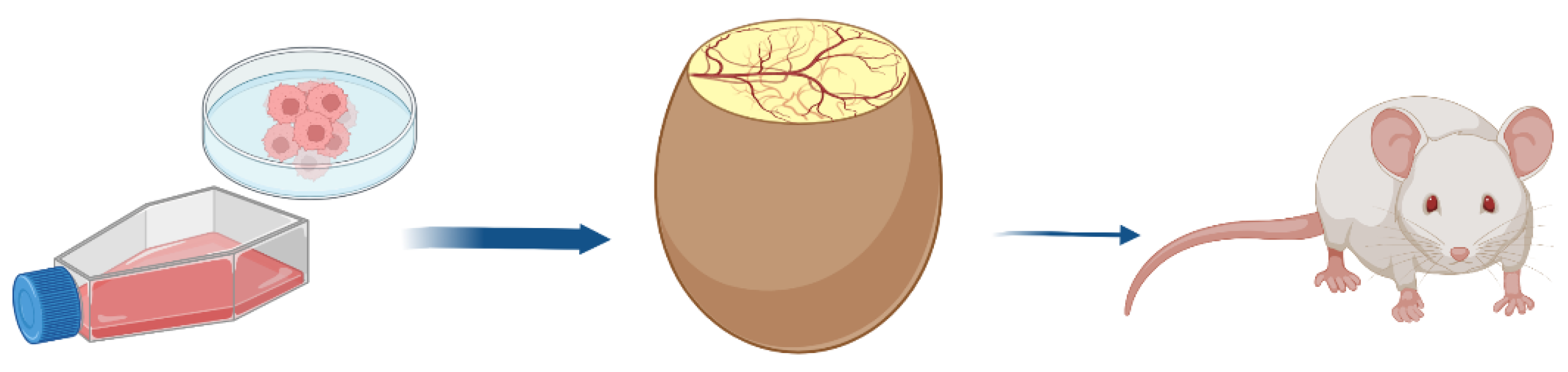 Cancers 15 00191 g001