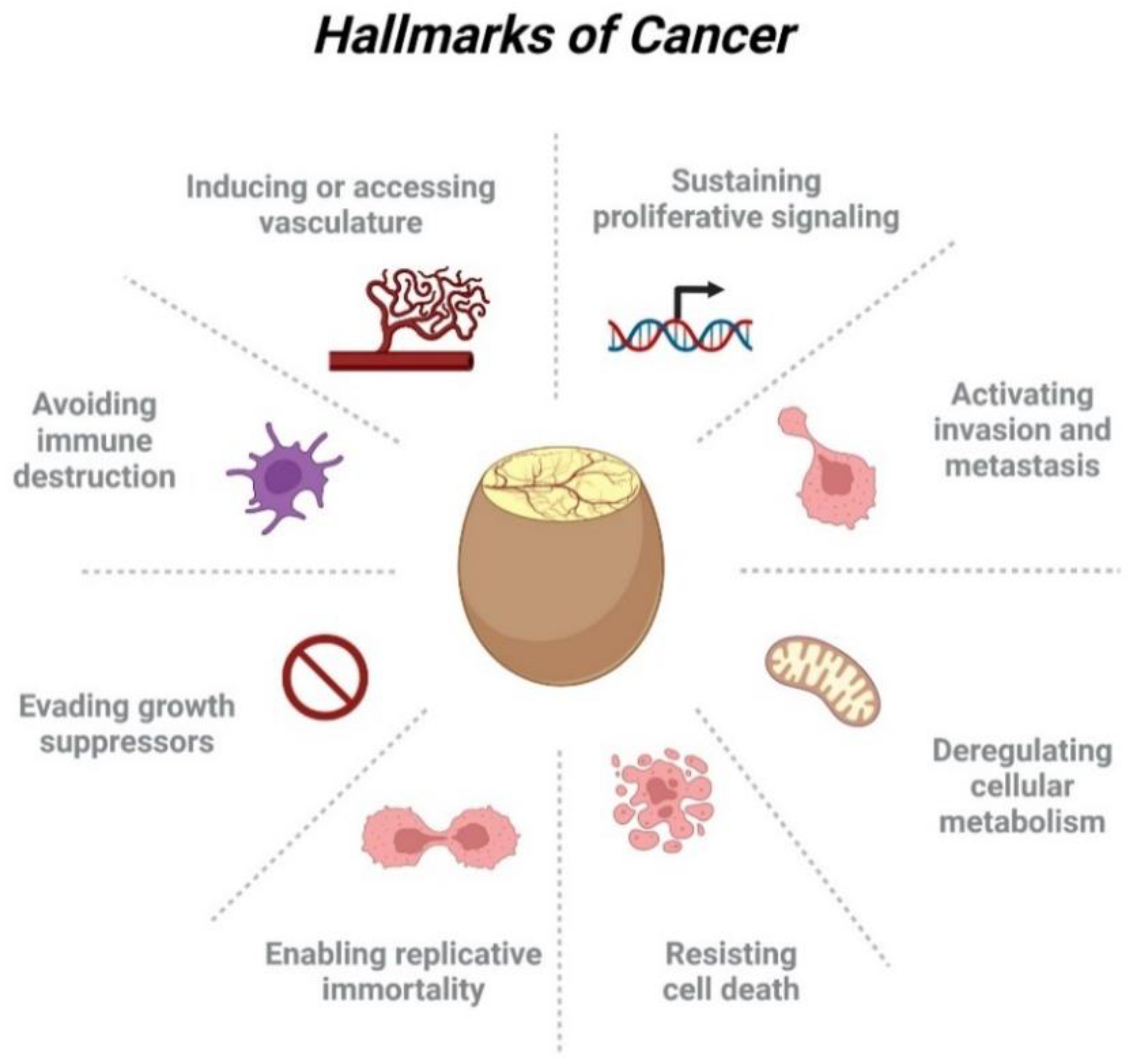 Cancers 15 00191 g002