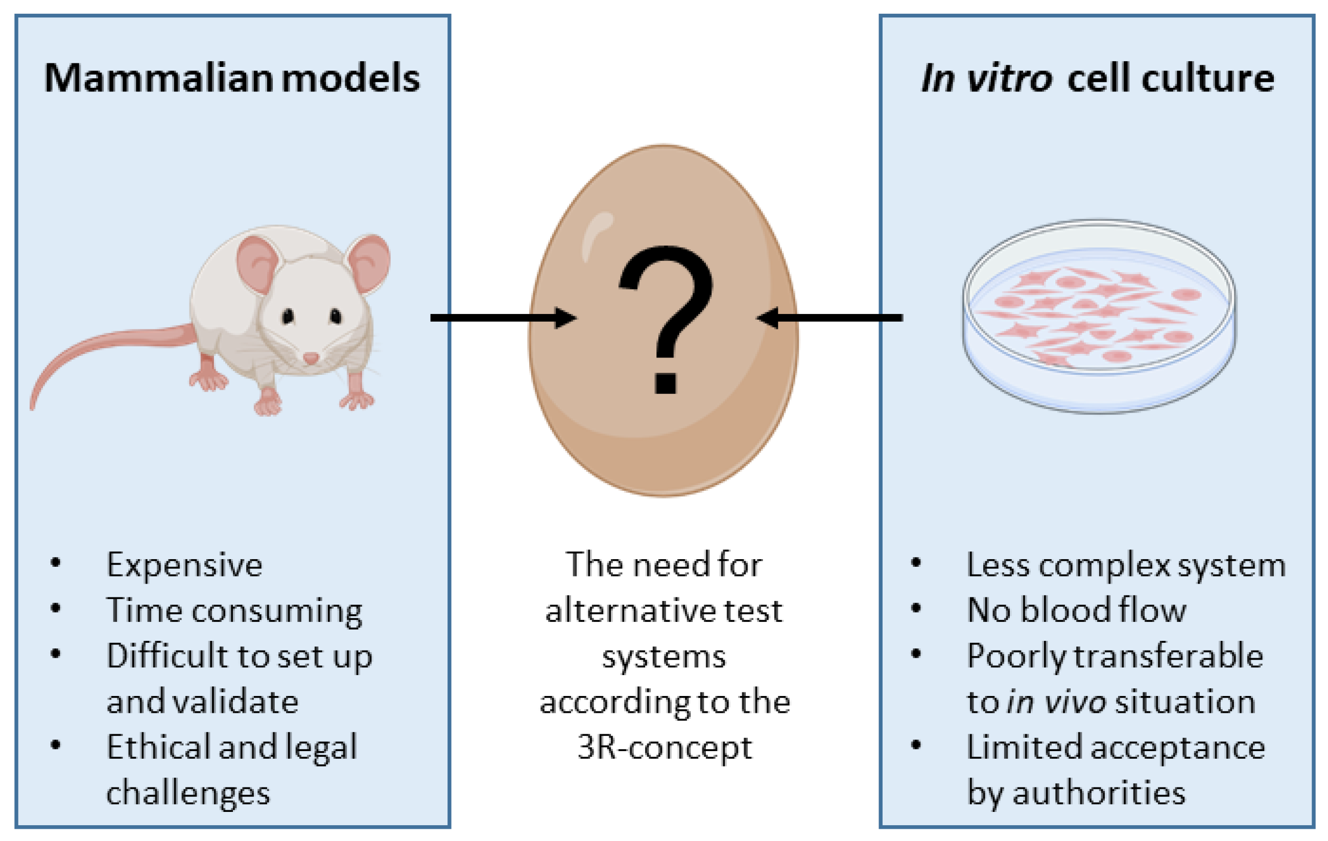 Cancers 15 00191 g004