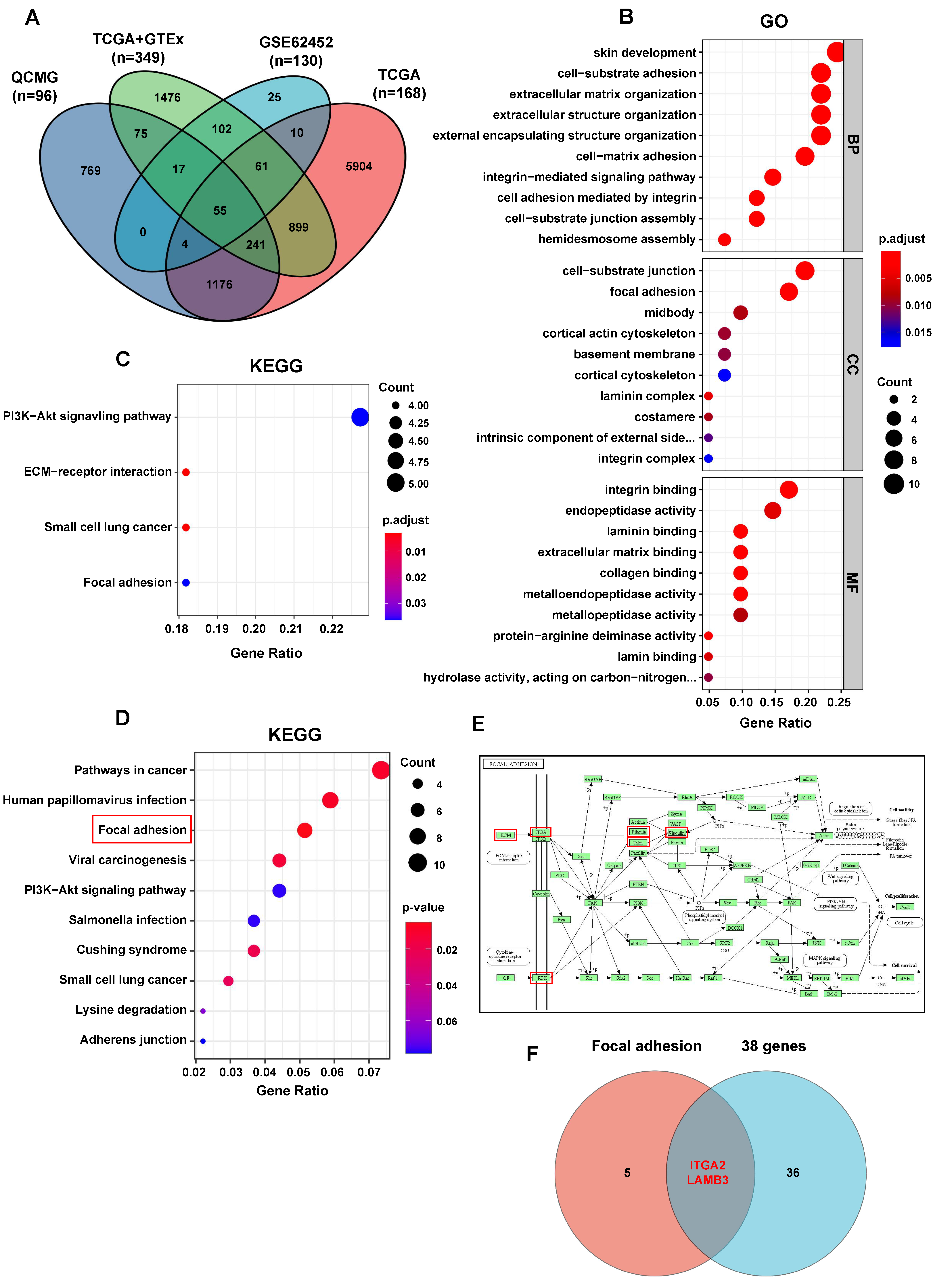 Cancers 15 00202 g004 Cancers 15 00202 g004