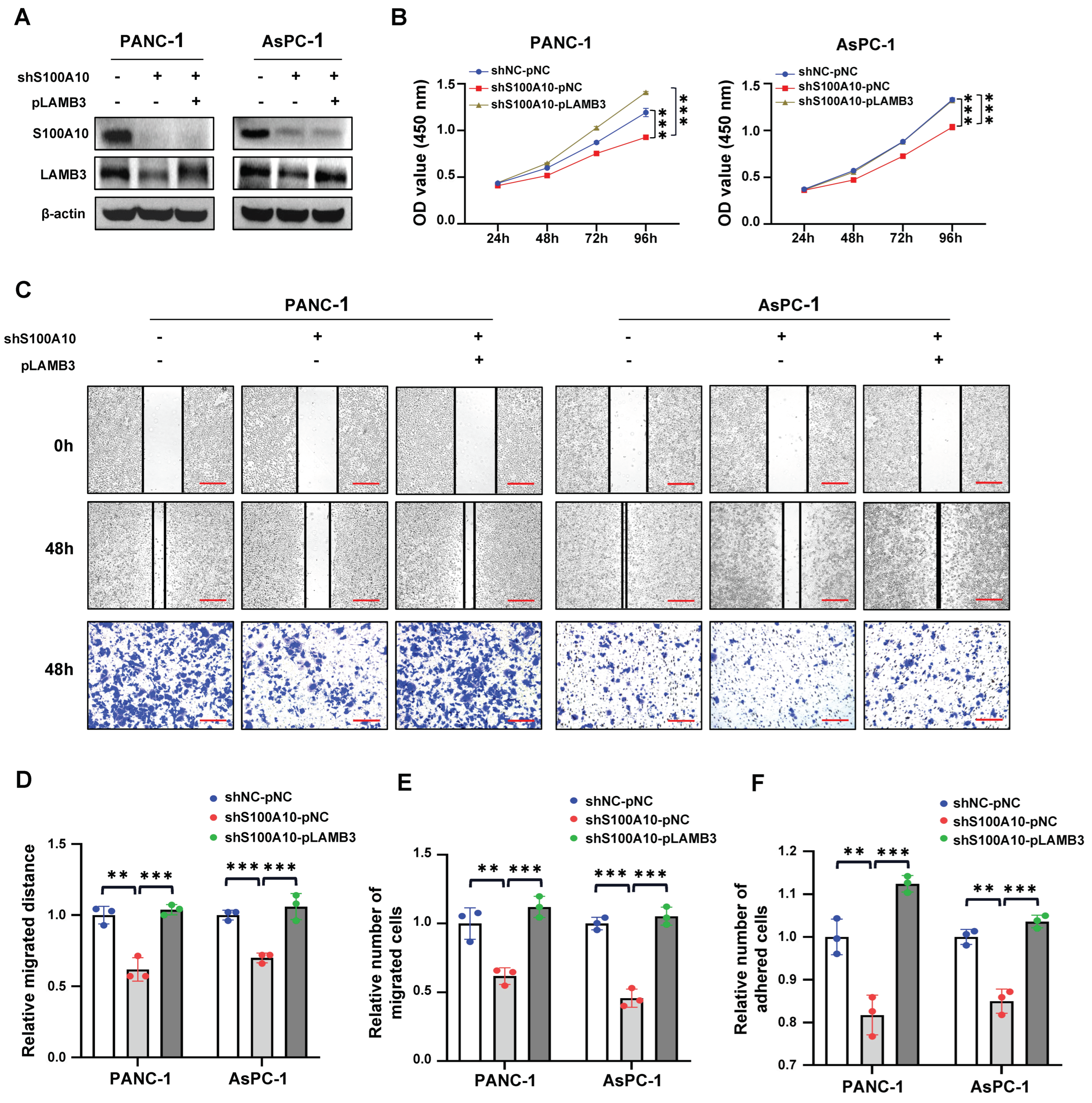 Cancers 15 00202 g007 Cancers 15 00202 g007