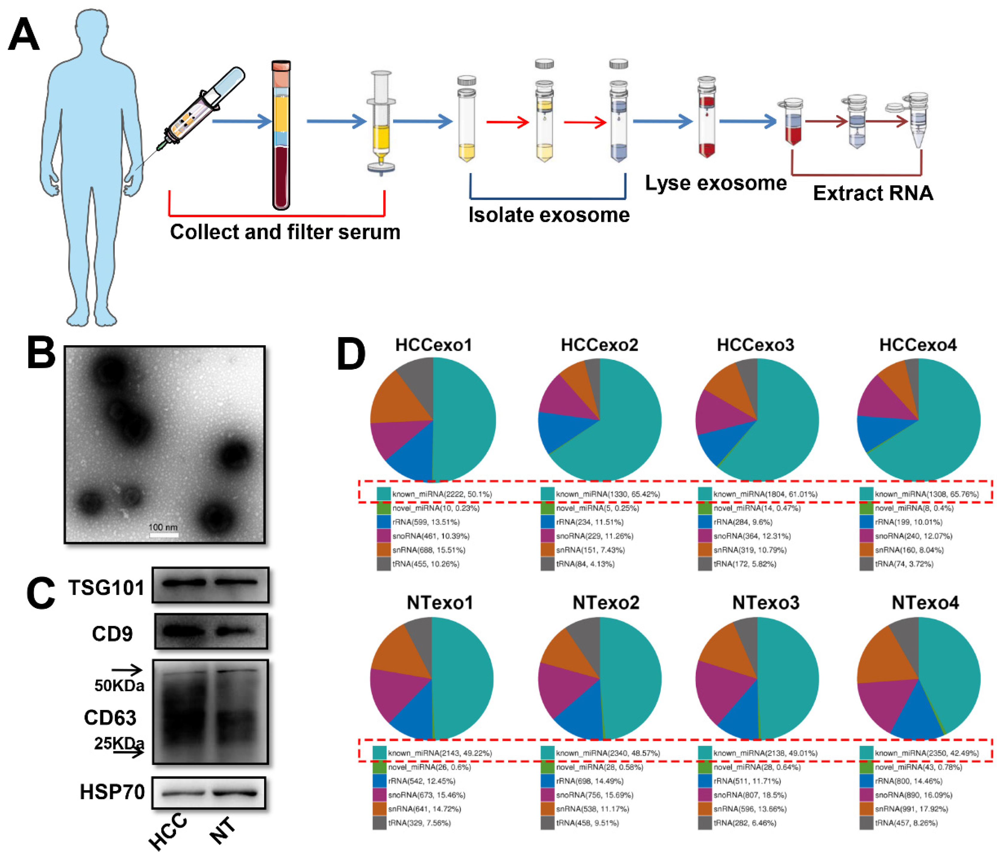 Cancers 15 00205 g001 Cancers 15 00205 g001