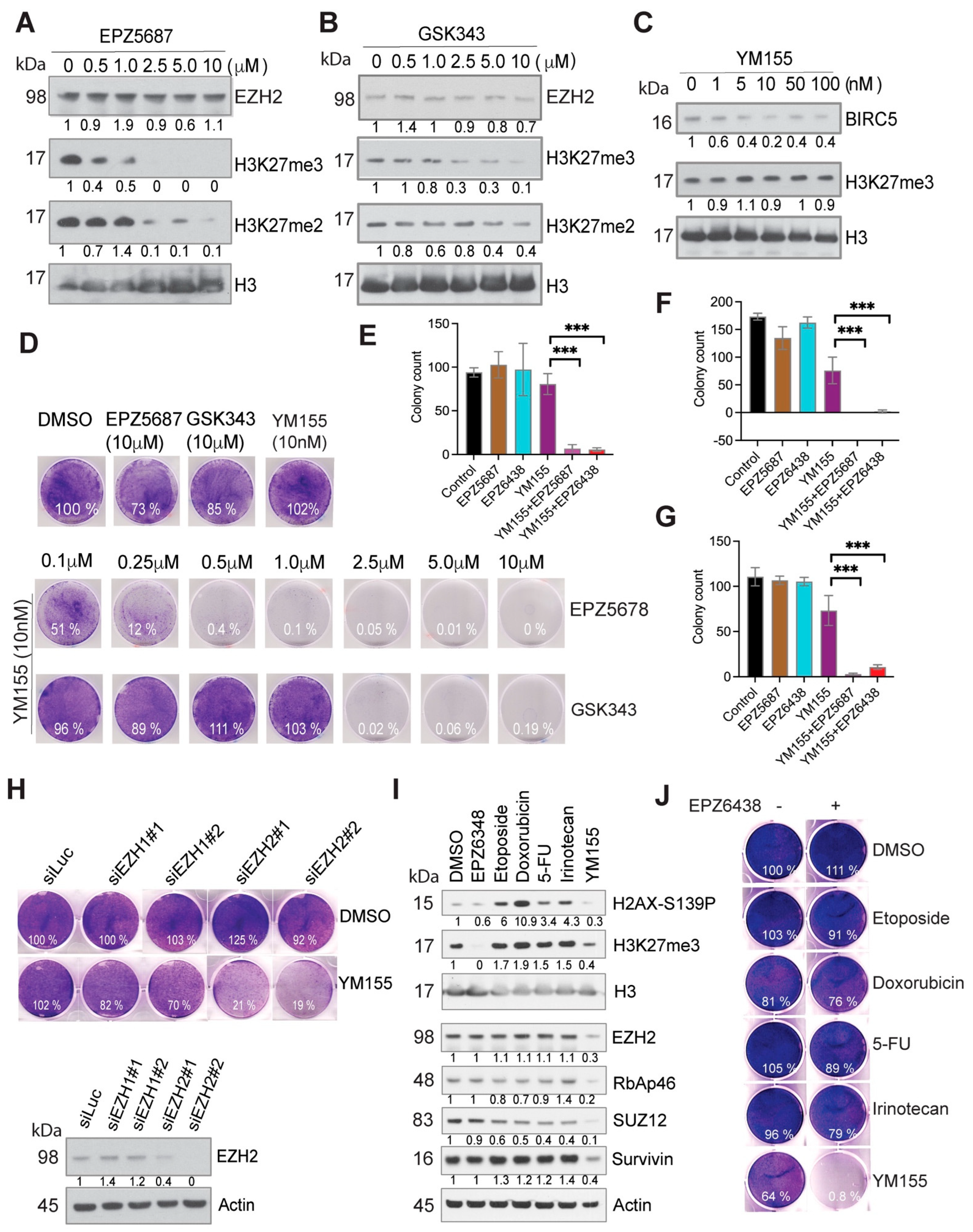 Cancers 15 00208 g003