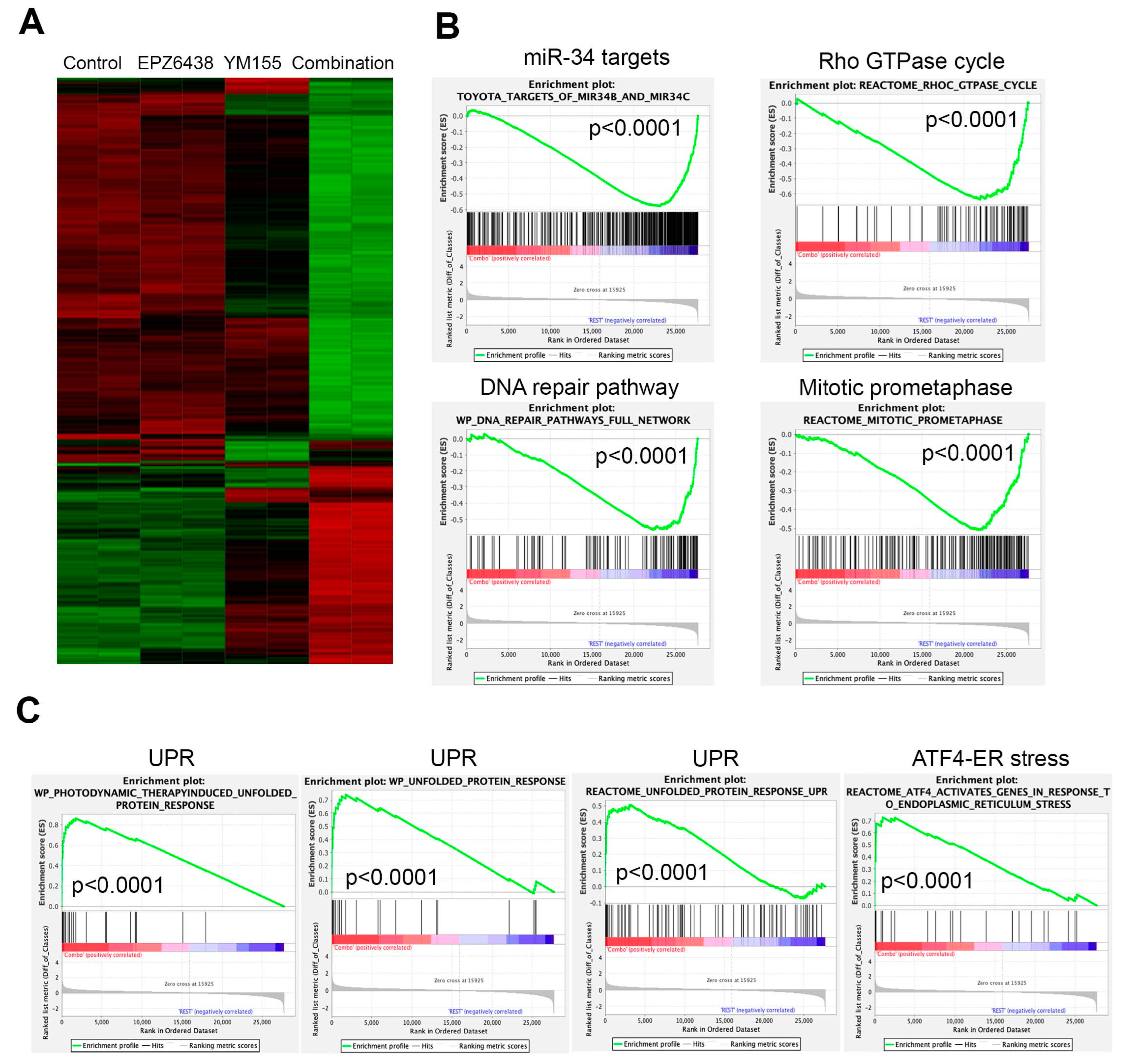 Cancers 15 00208 g005