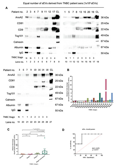 Cancers 15 00212 g003