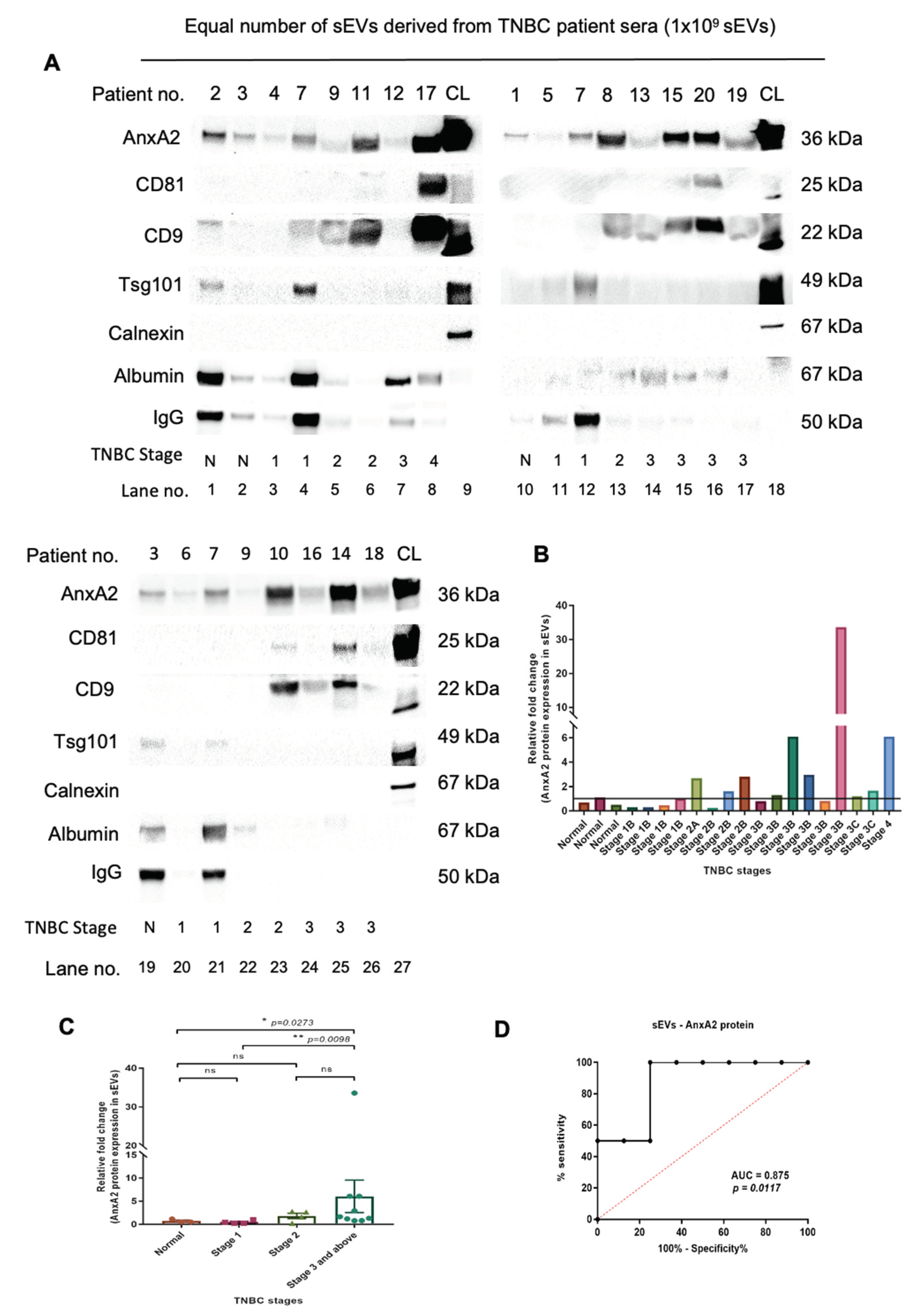 Cancers 15 00212 g003 Cancers 15 00212 g003
