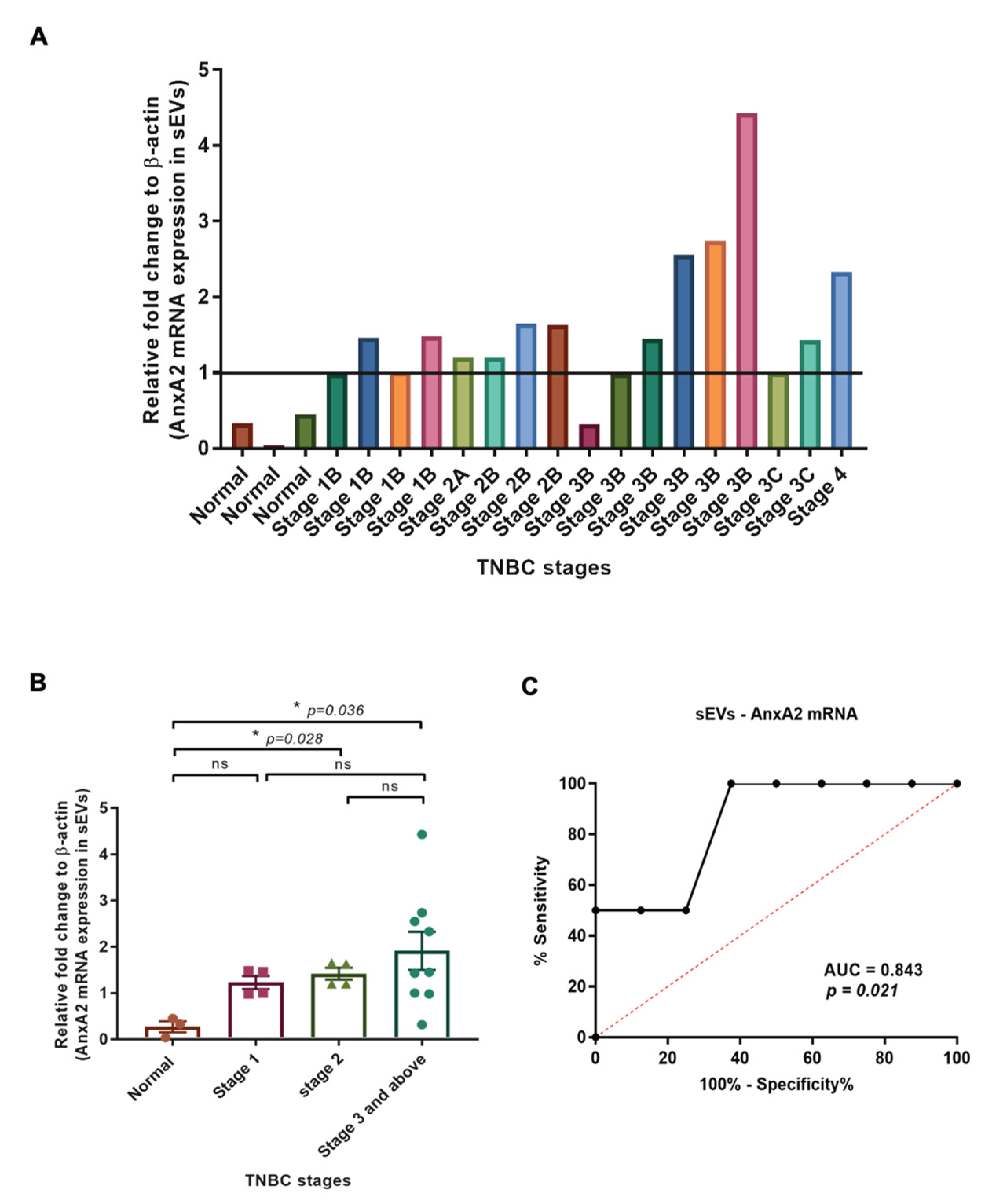 Cancers 15 00212 g004 Cancers 15 00212 g004