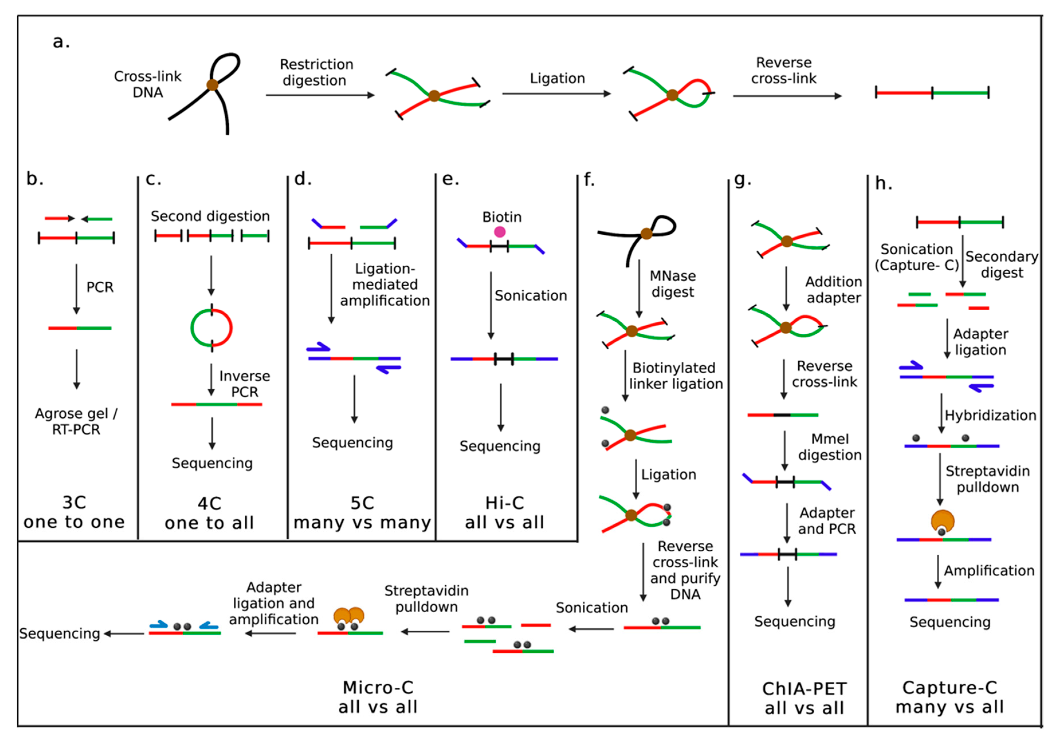 Cancers 15 00215 g001 Cancers 15 00215 g001