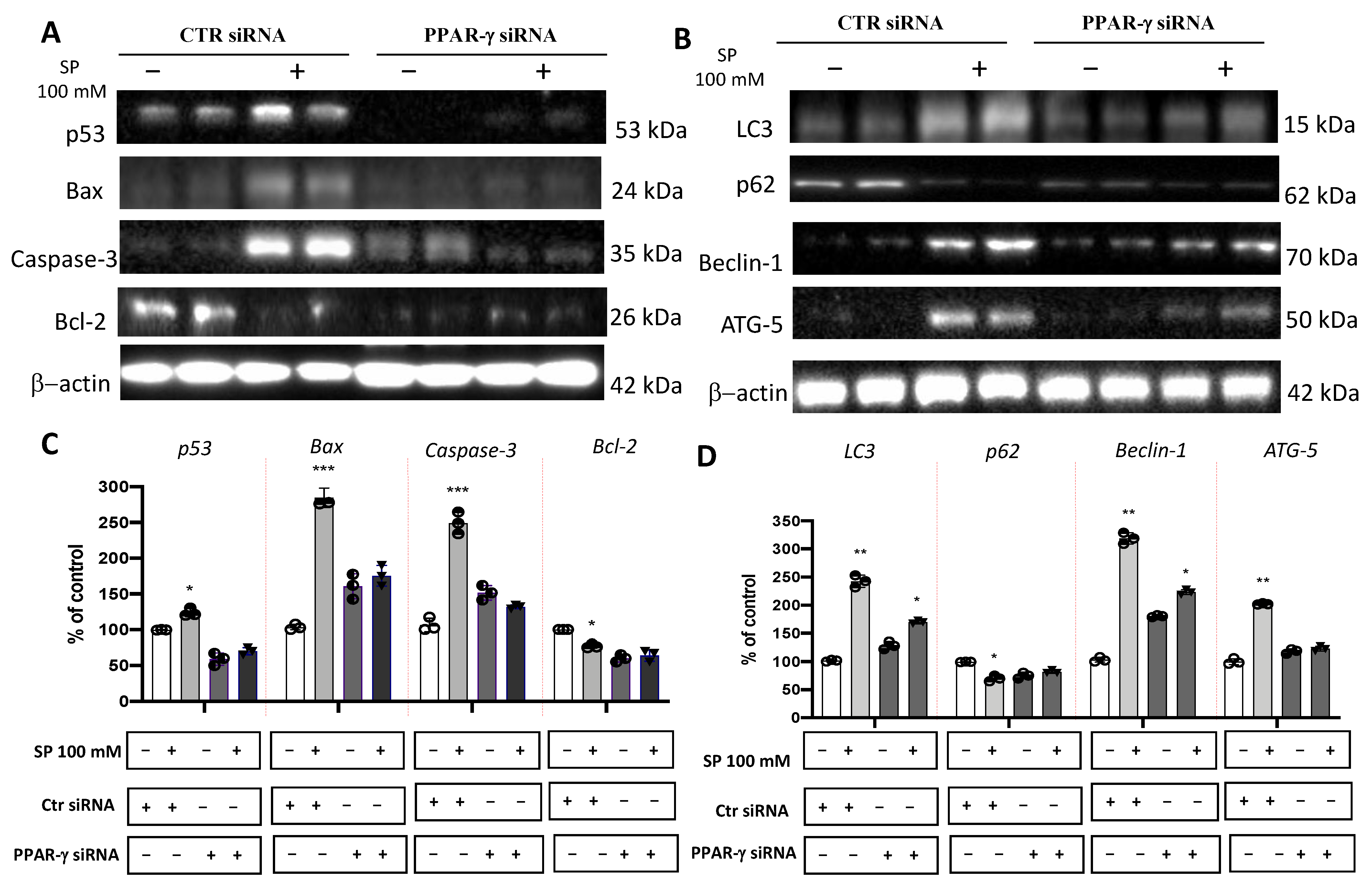 Cancers 15 00217 g005 Cancers 15 00217 g005