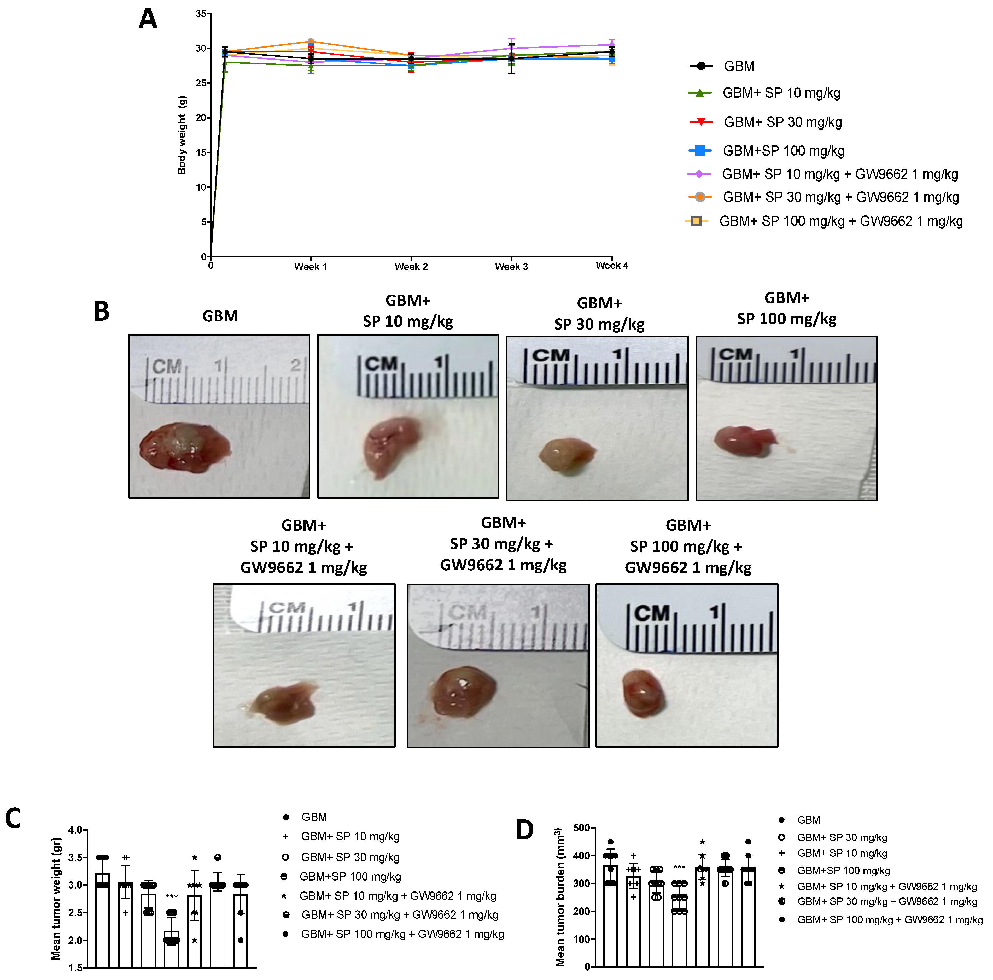 Cancers 15 00217 g006 Cancers 15 00217 g006
