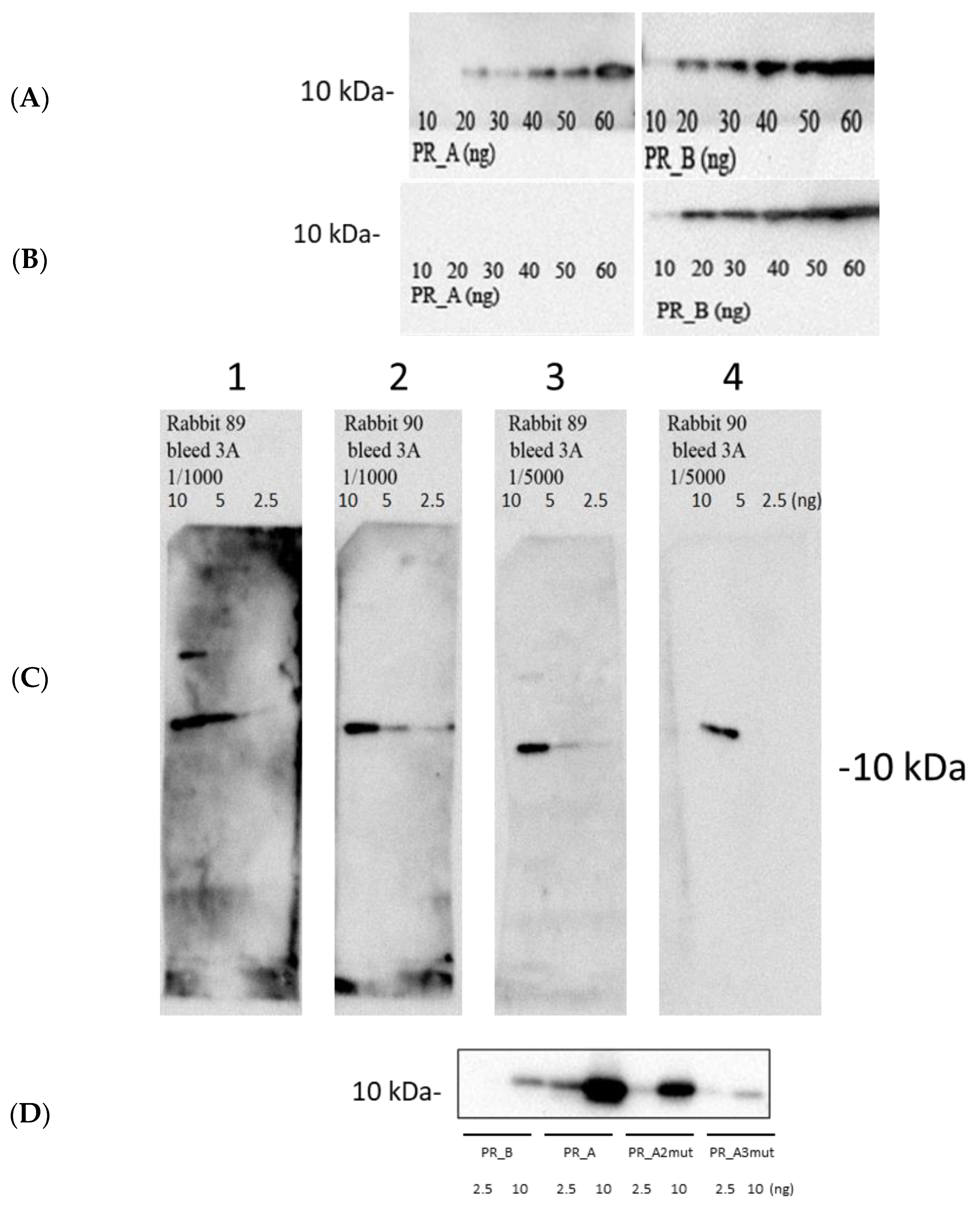 Cancers 15 00238 g002a