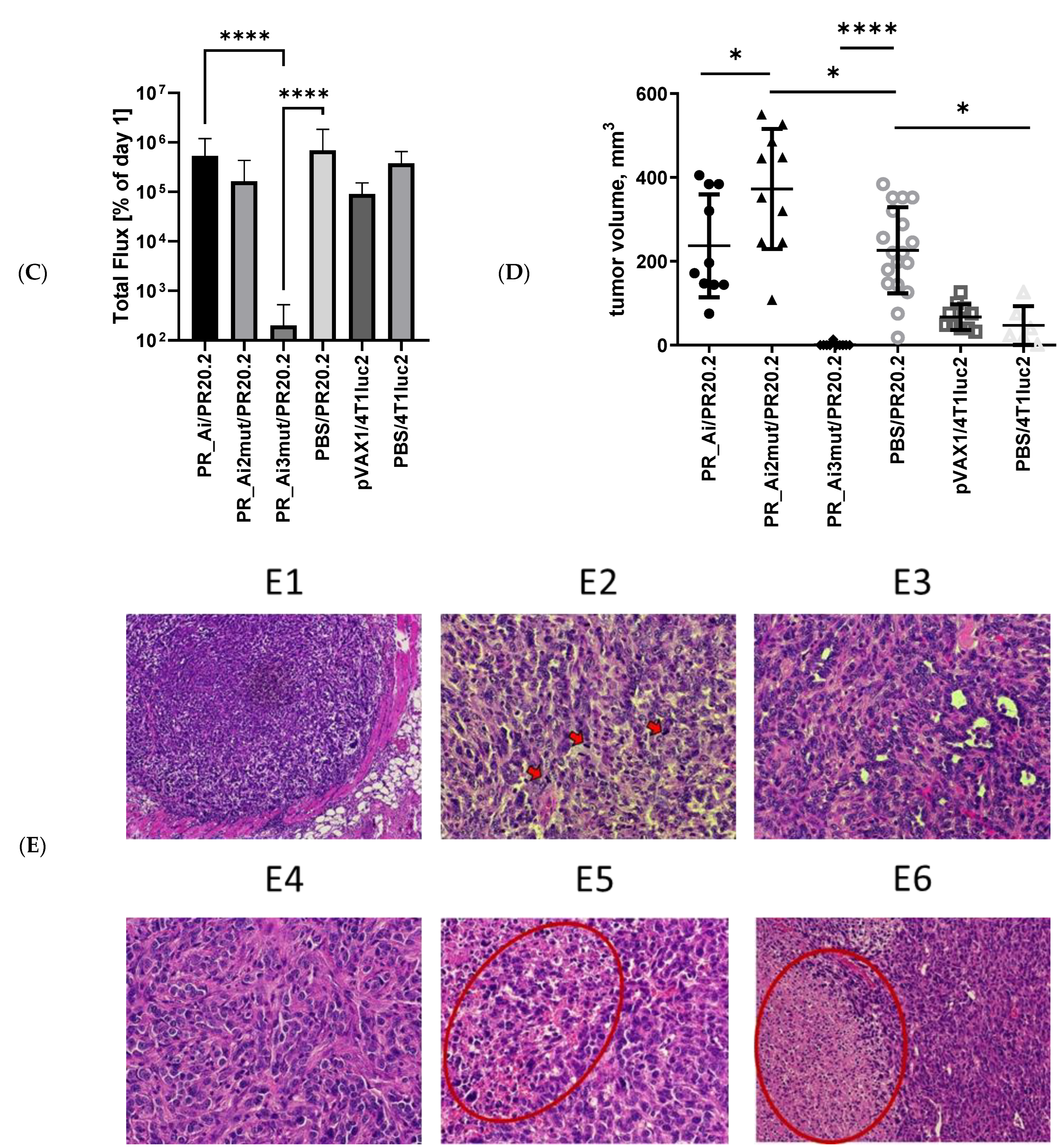 Cancers 15 00238 g007b