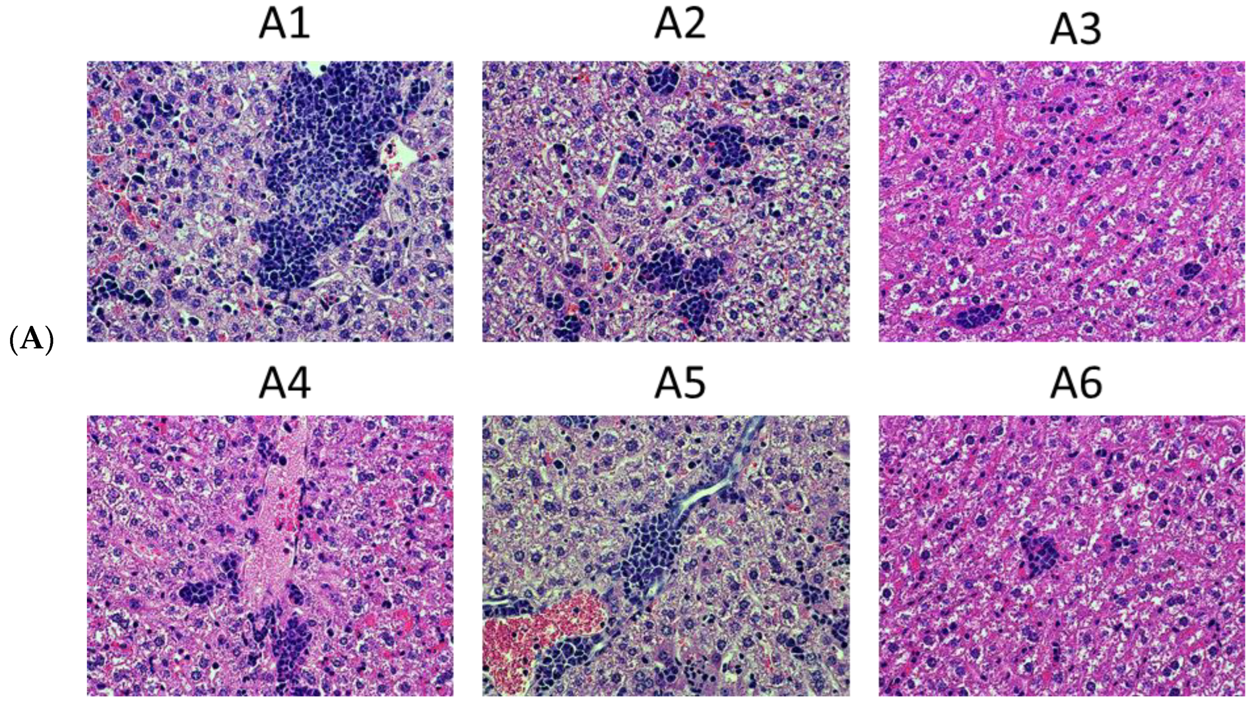 Cancers 15 00238 g009a