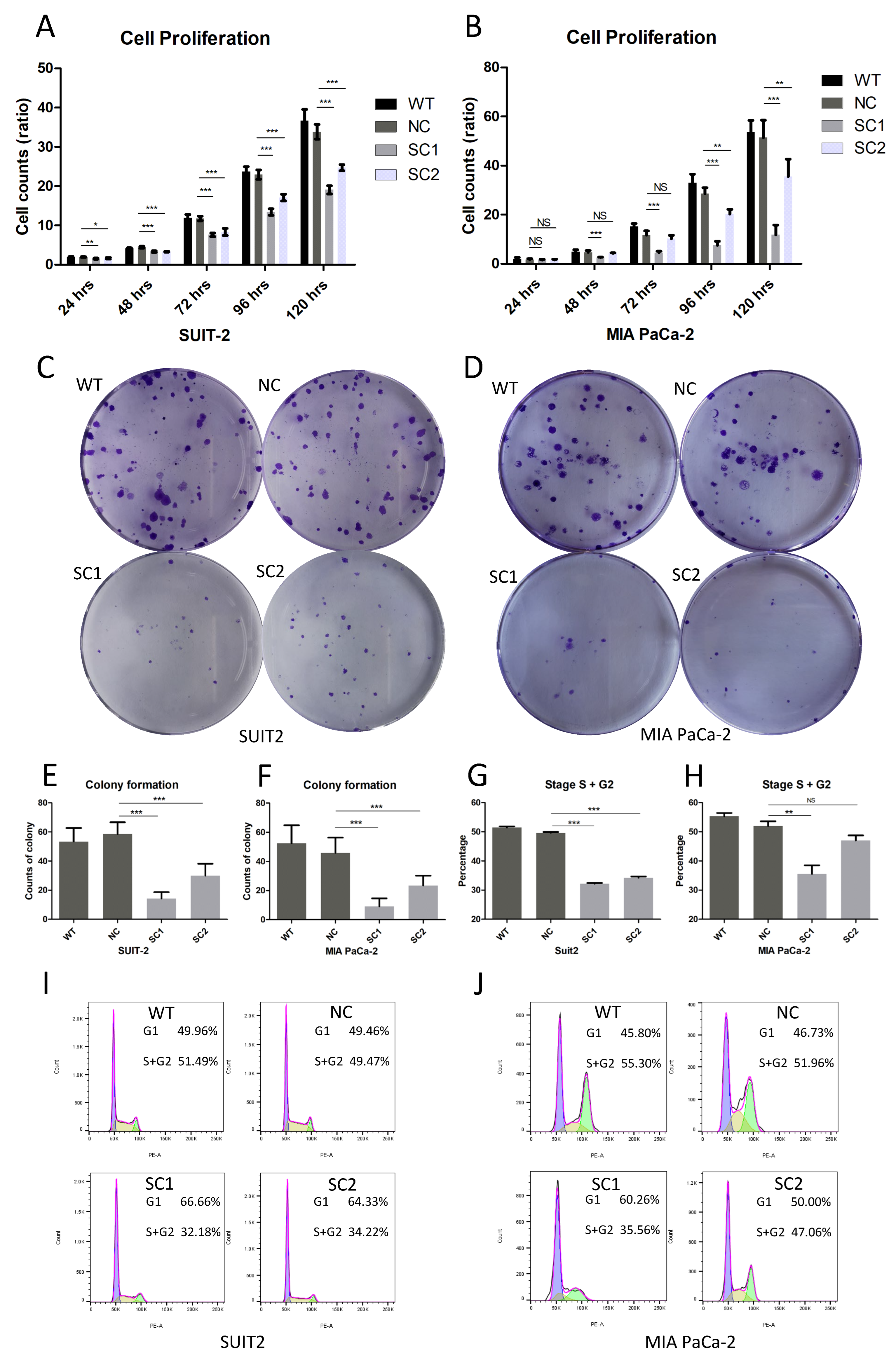 Cancers 15 00241 g003
