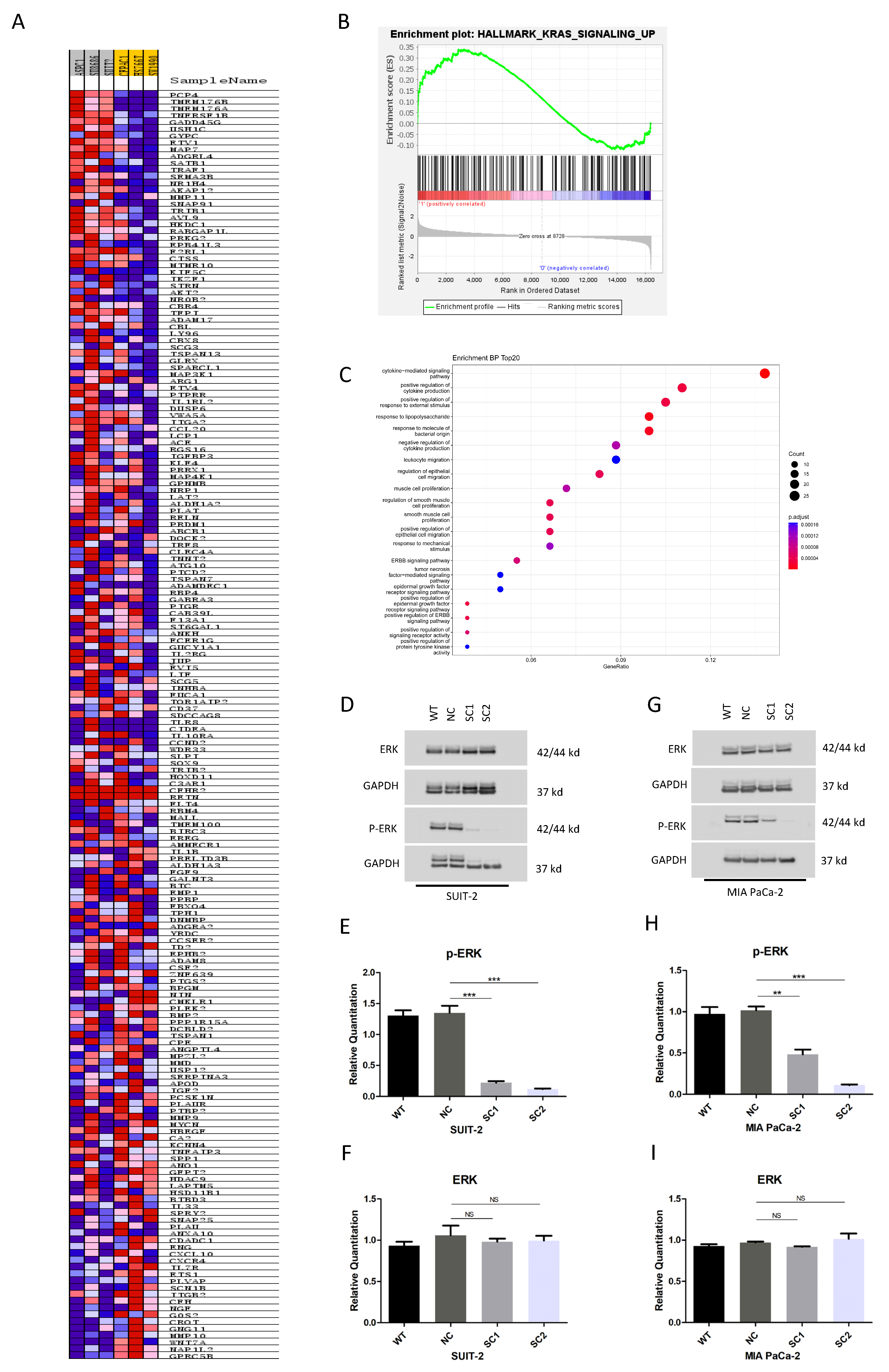 Cancers 15 00241 g008