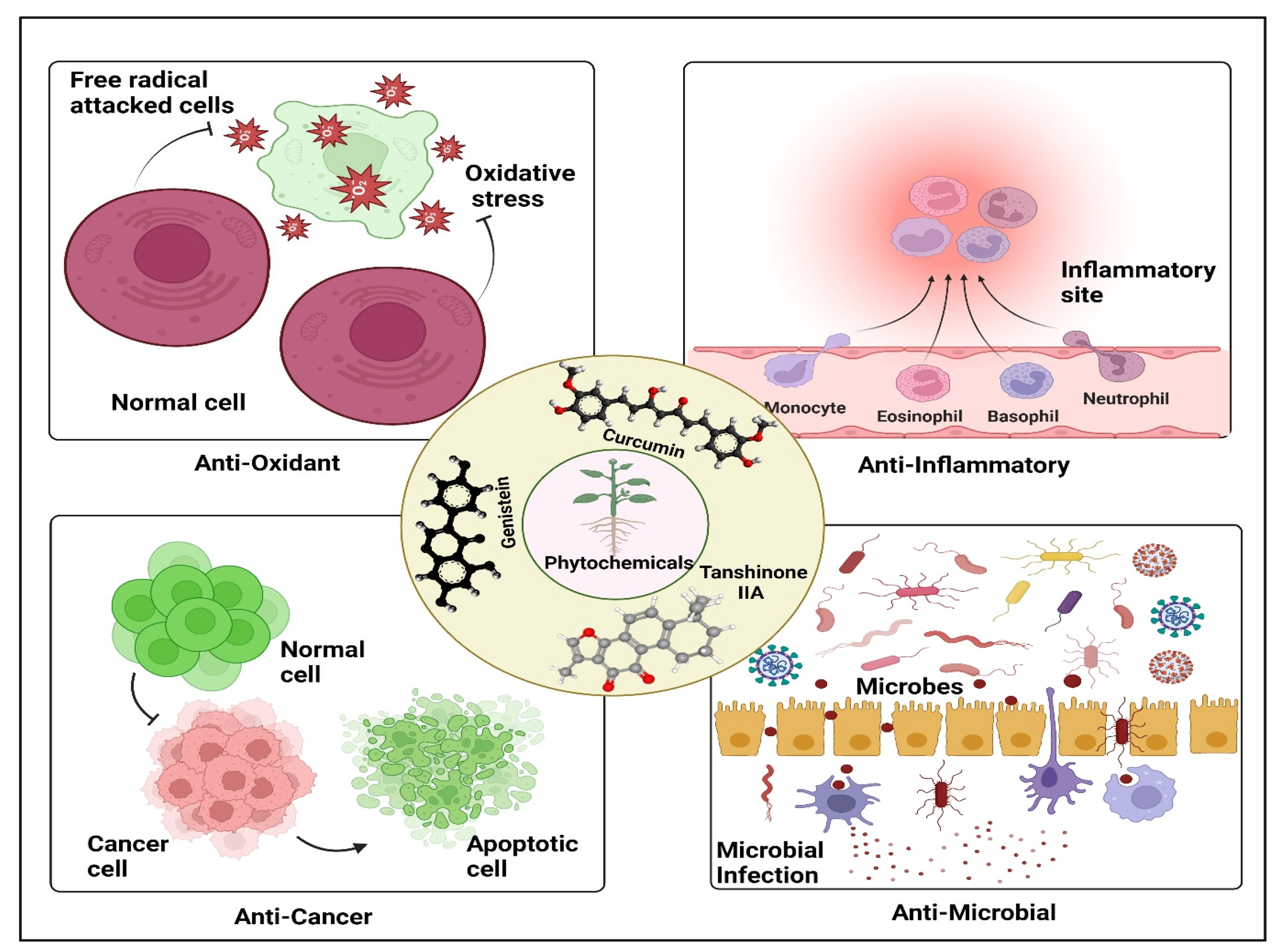 Cancers 15 00249 g001