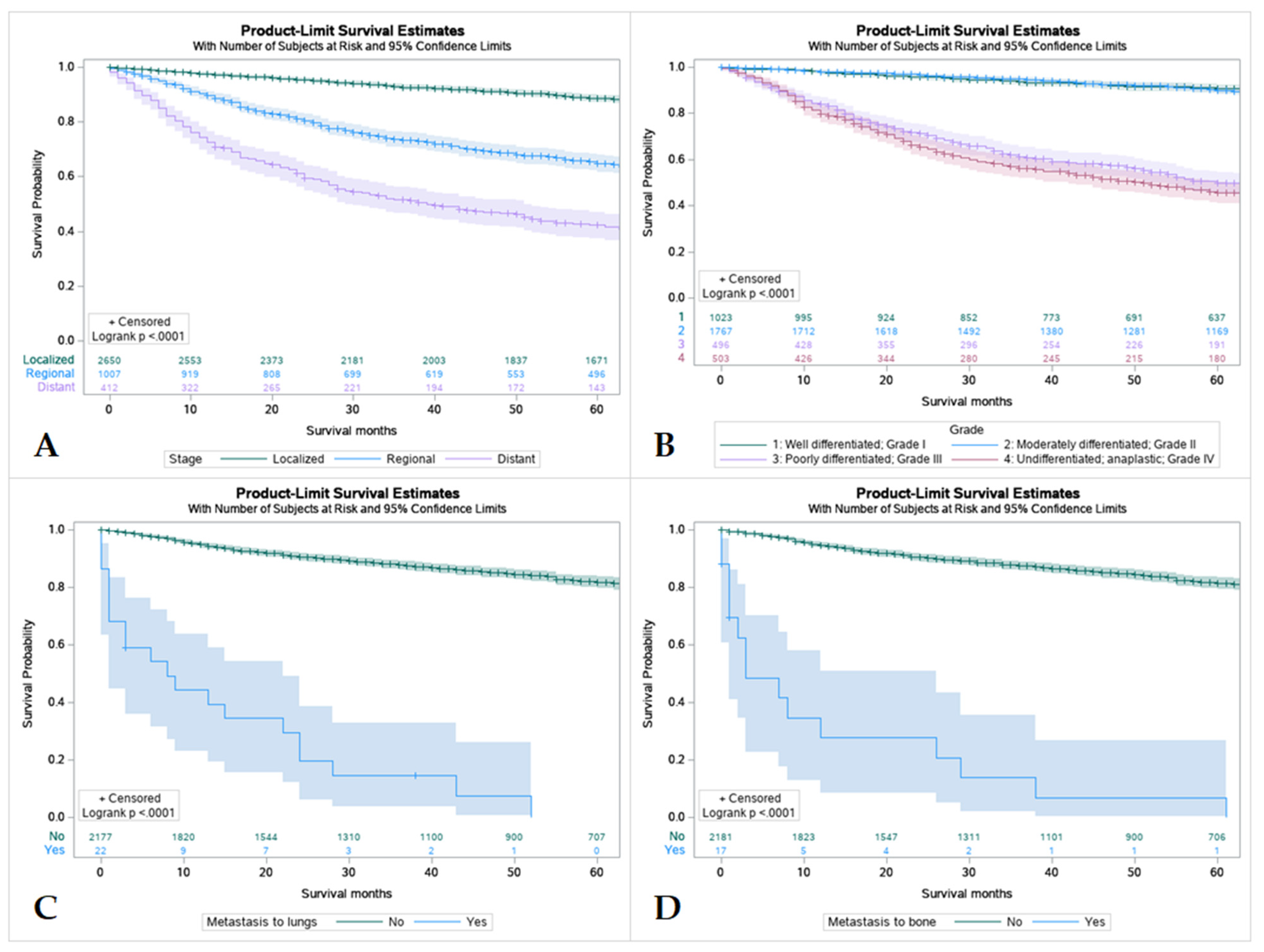 Cancers 15 00250 g005