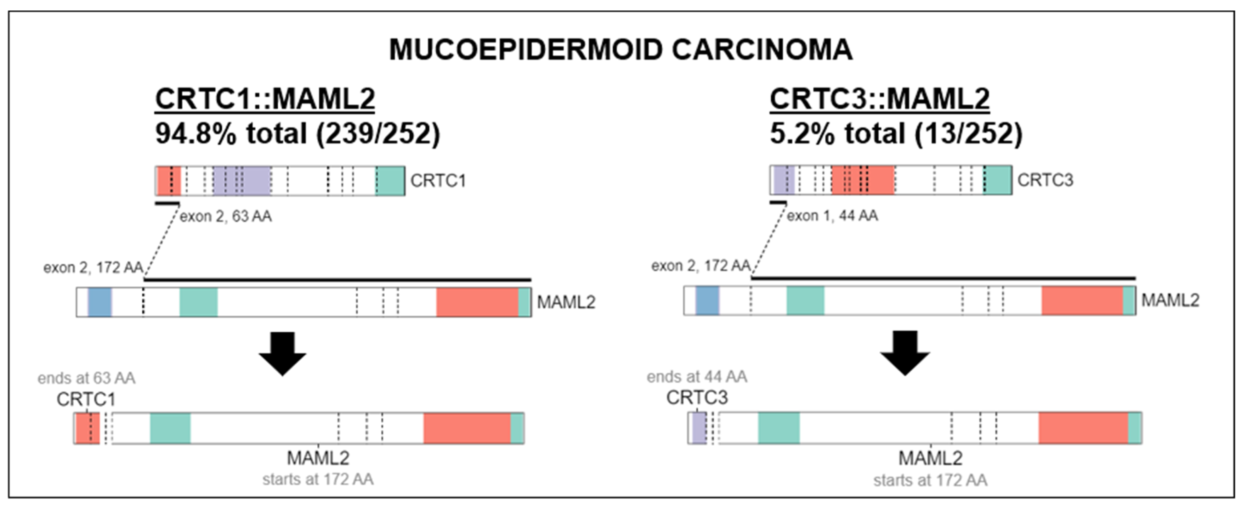 Cancers 15 00250 g006