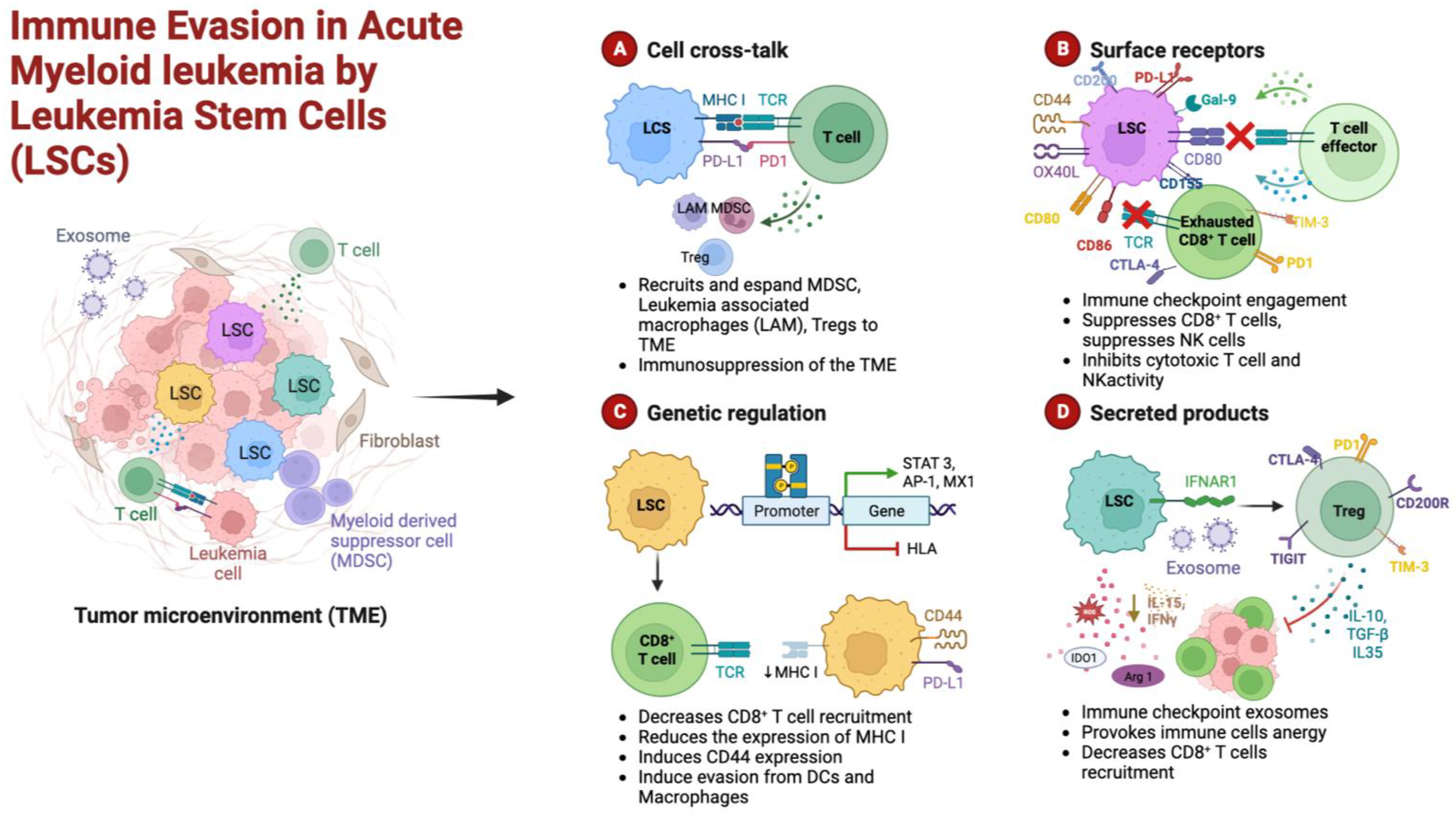 Cancers 15 00253 g001