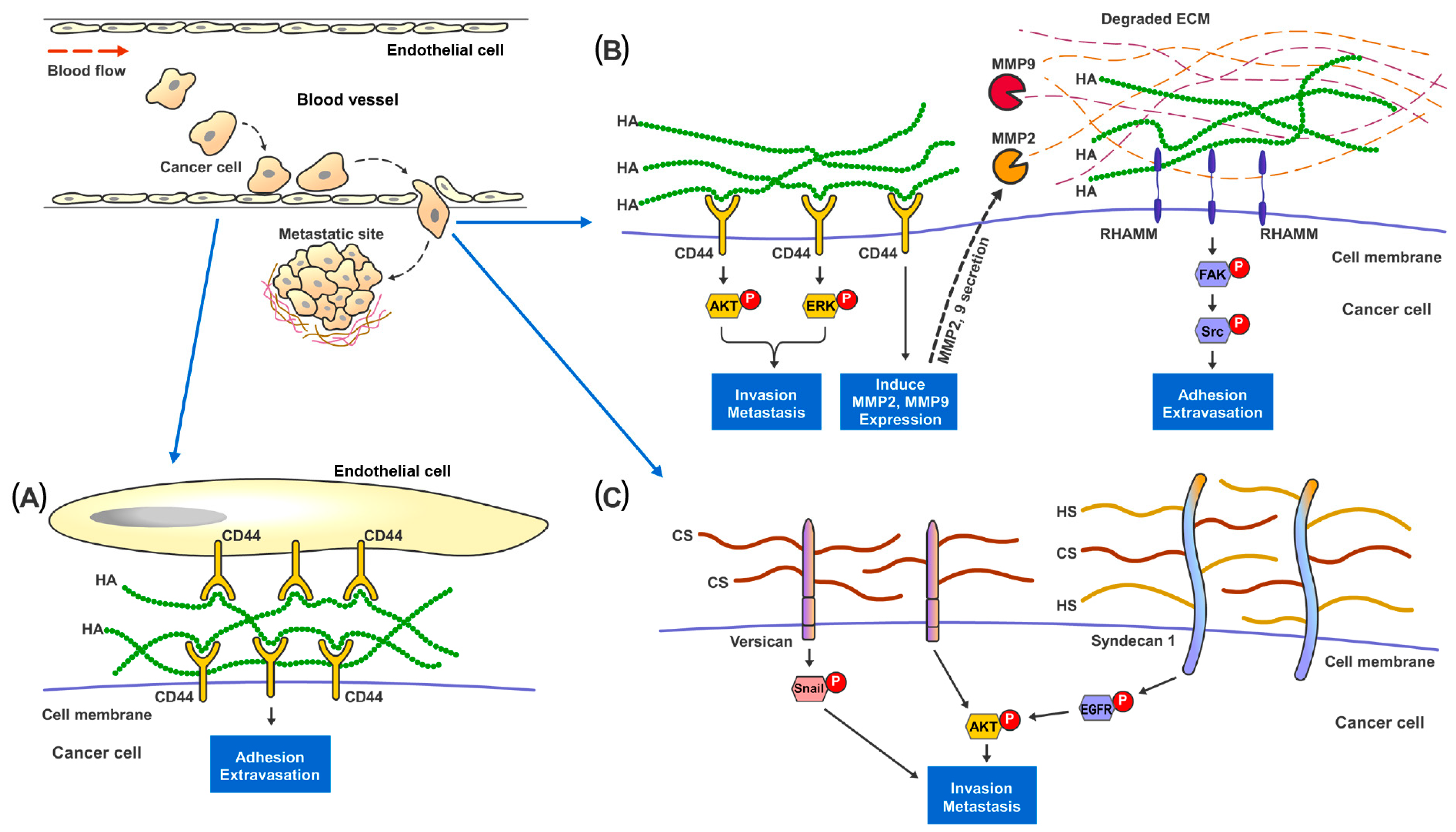 Cancers 15 00266 g002 Cancers 15 00266 g002