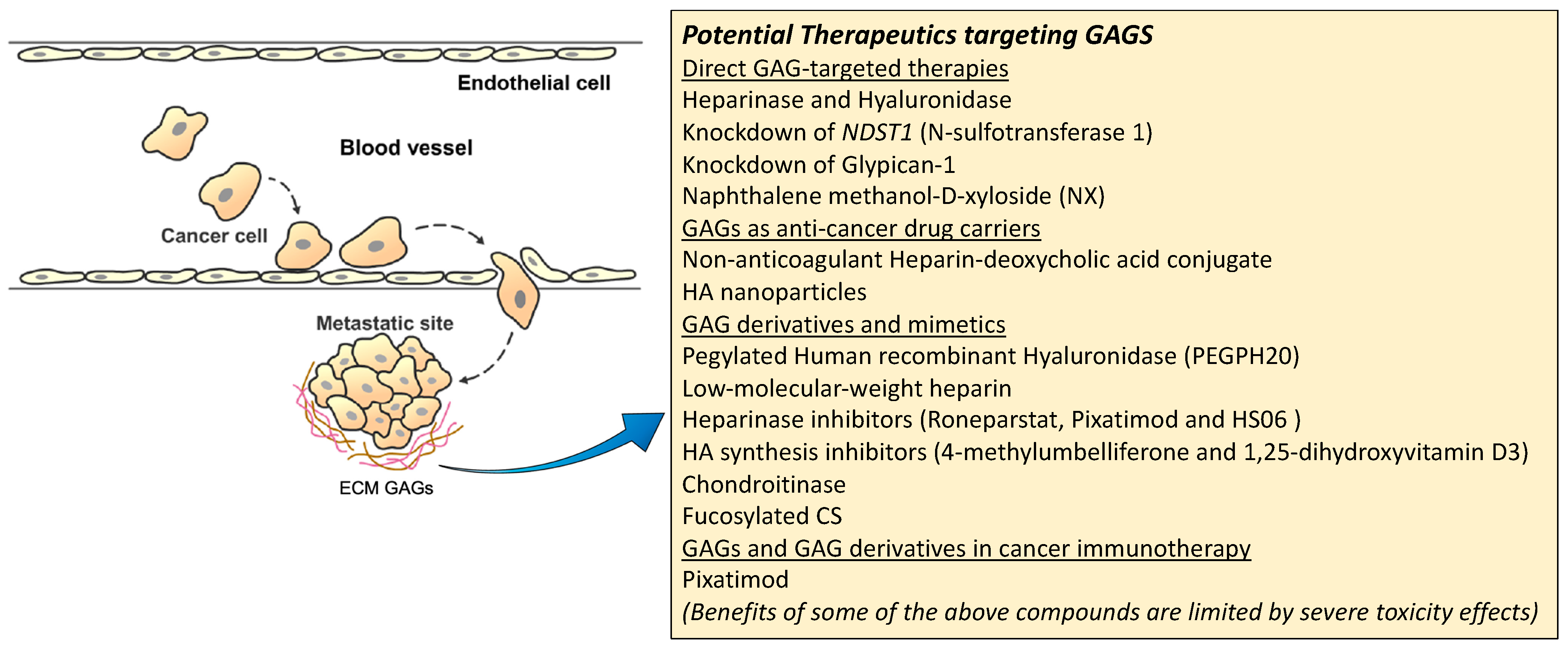 Cancers 15 00266 g003 Cancers 15 00266 g003