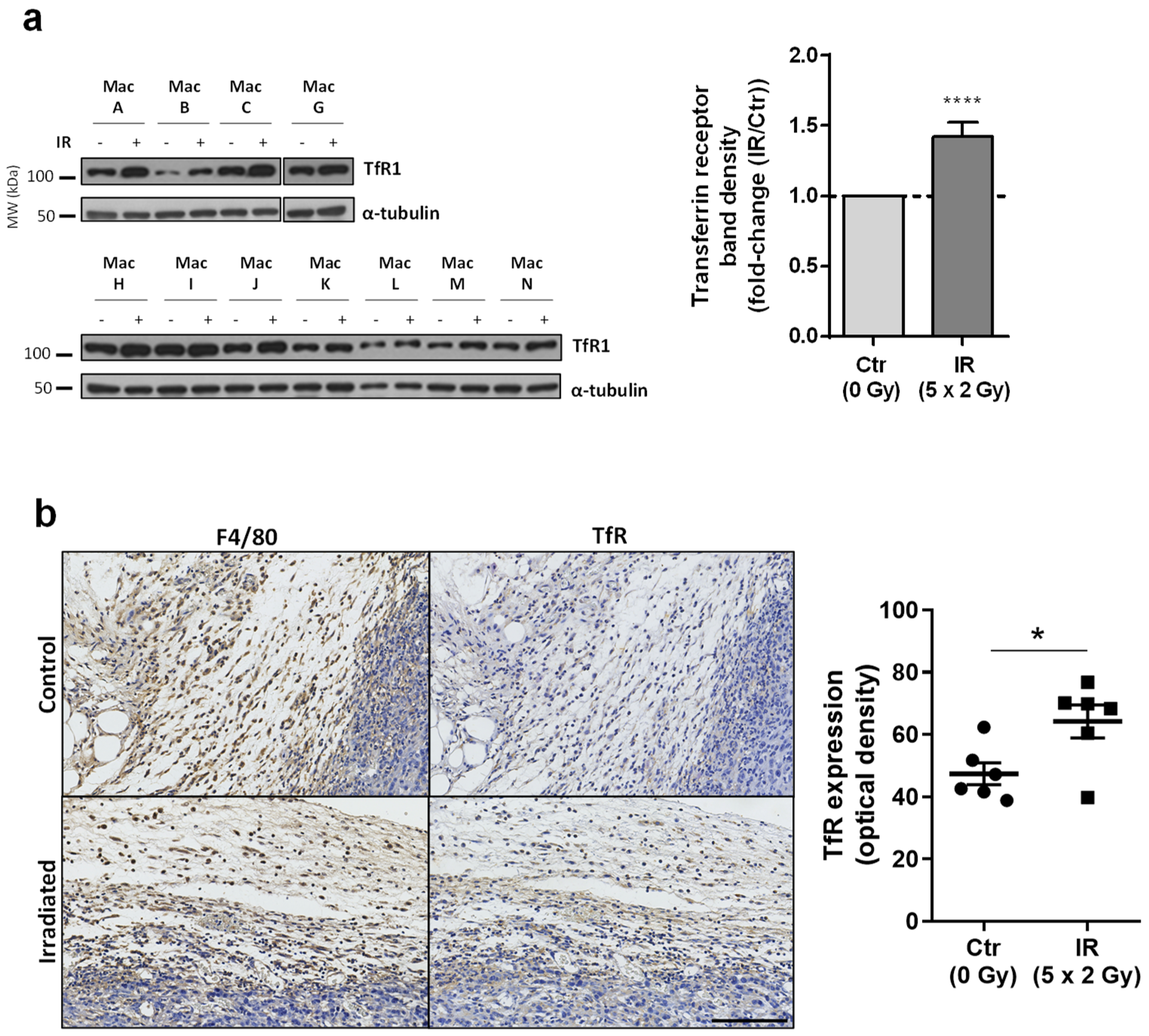 Cancers 15 00270 g004