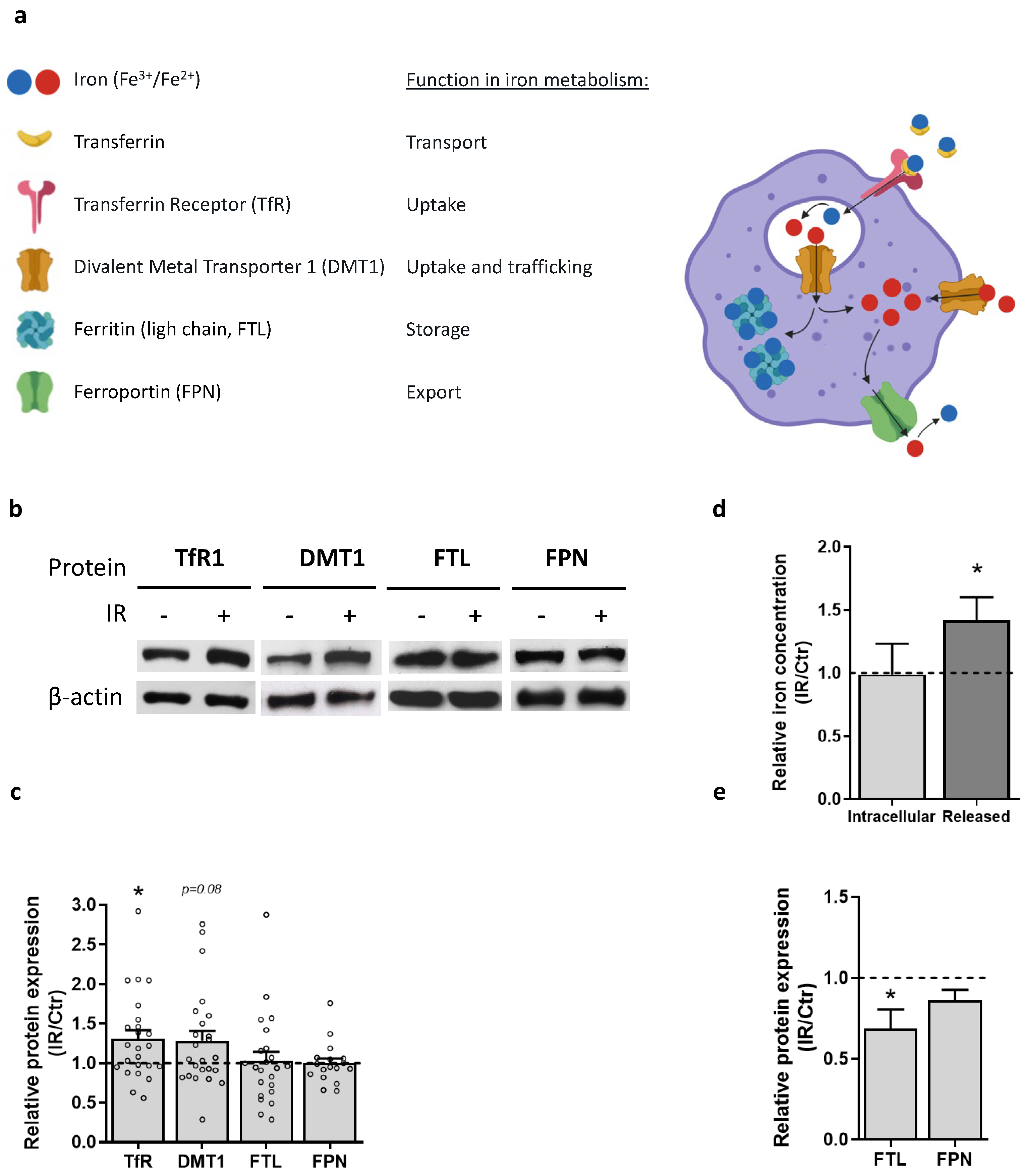 Cancers 15 00270 g005